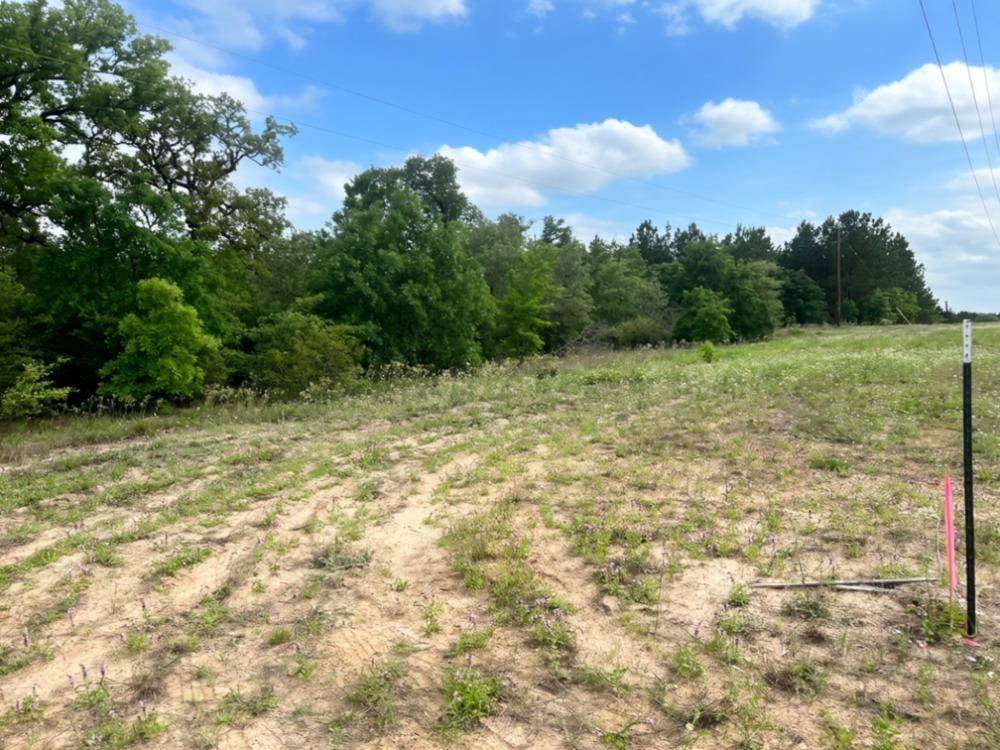 000 Ponderosa LOOP, Paige, TX 78602