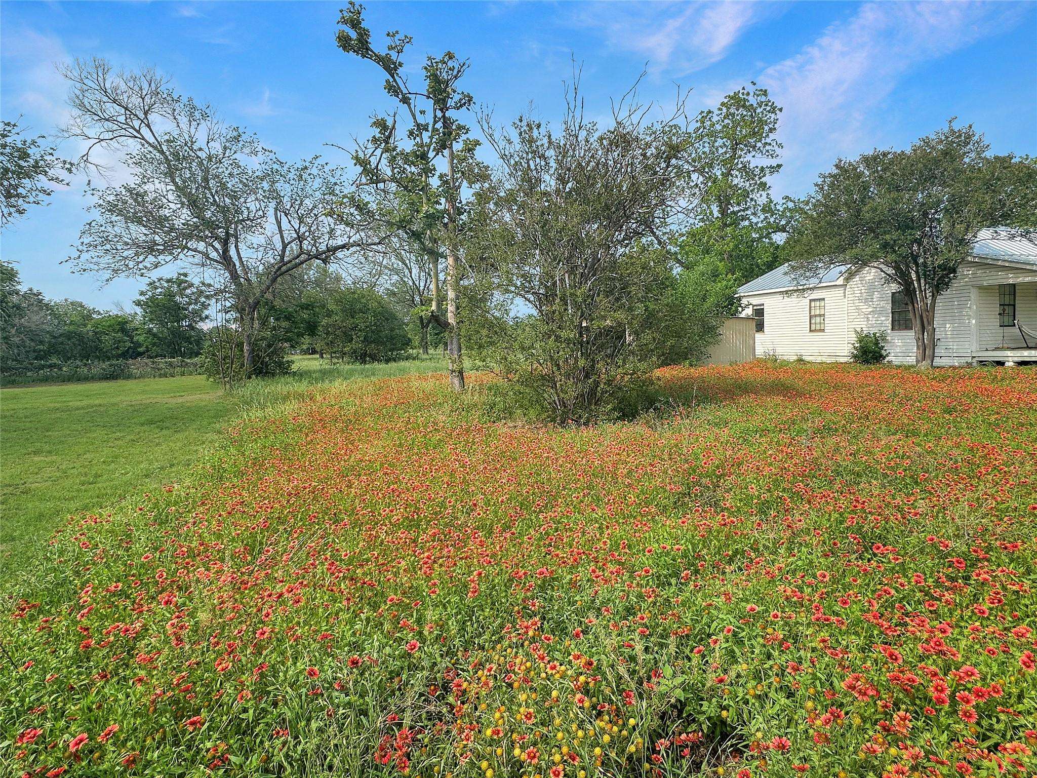 1314 Farm ST, Bastrop, TX 78602