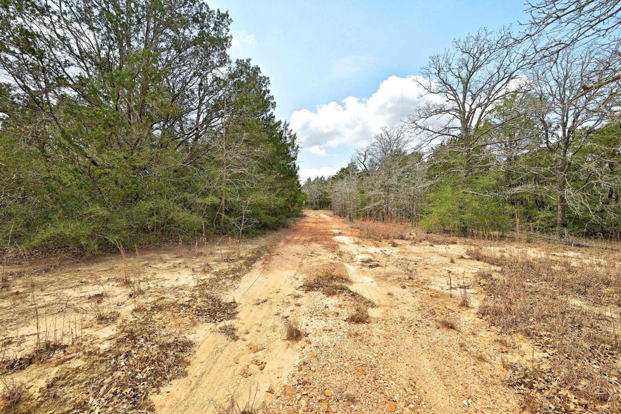 109 Crepe Myrtle RD, Bastrop, TX 78602