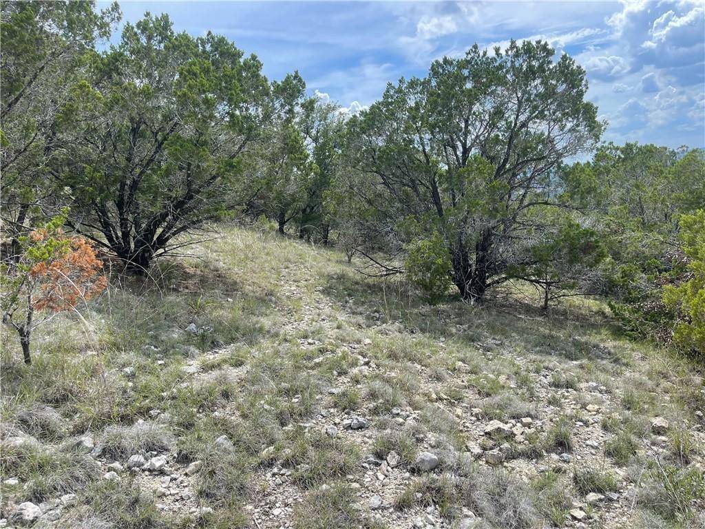 8210 Bar K Ranch RD, Lago Vista, TX 78645