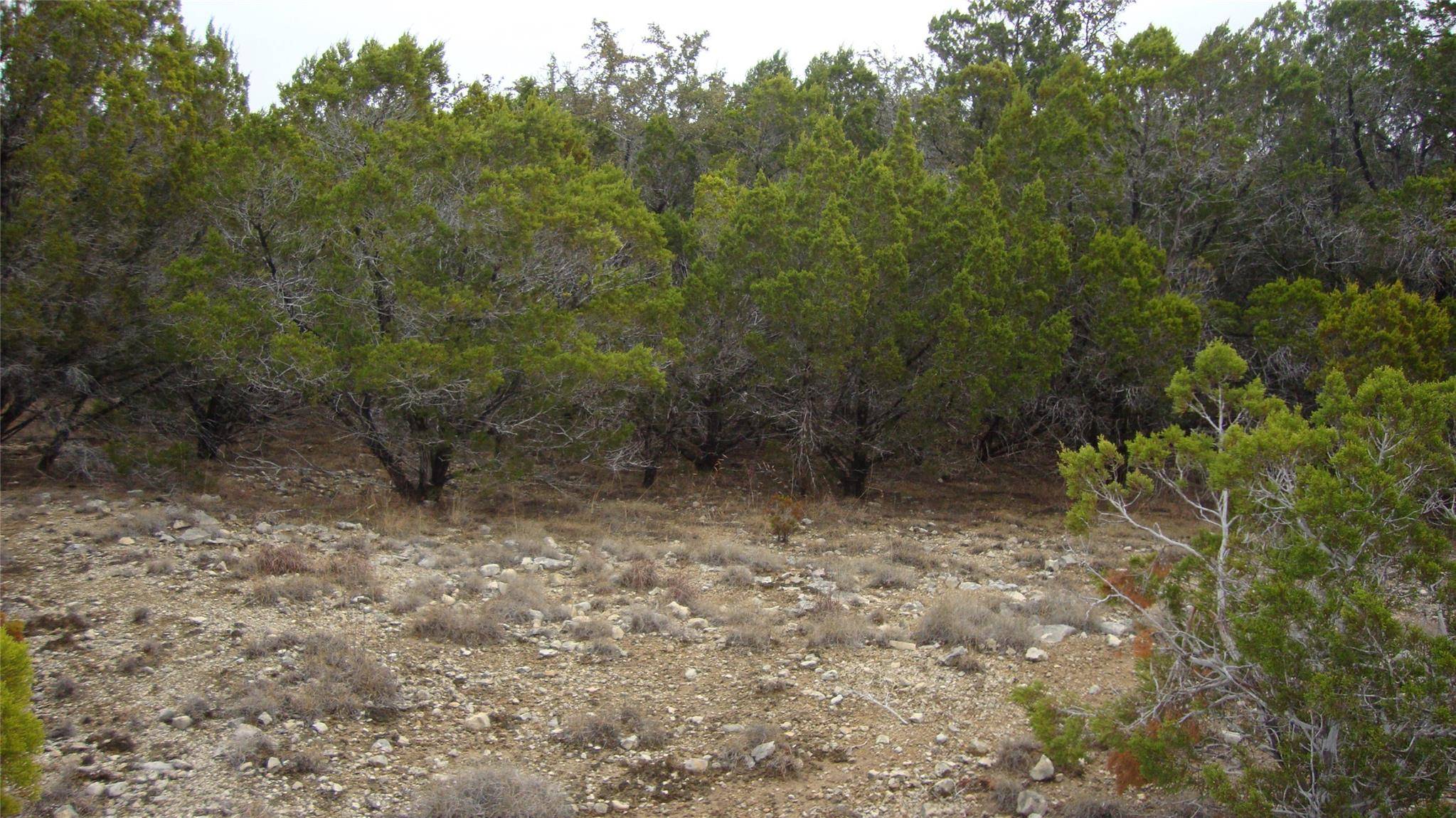 7700 Bar-K Ranch RD, Lago Vista, TX 78645