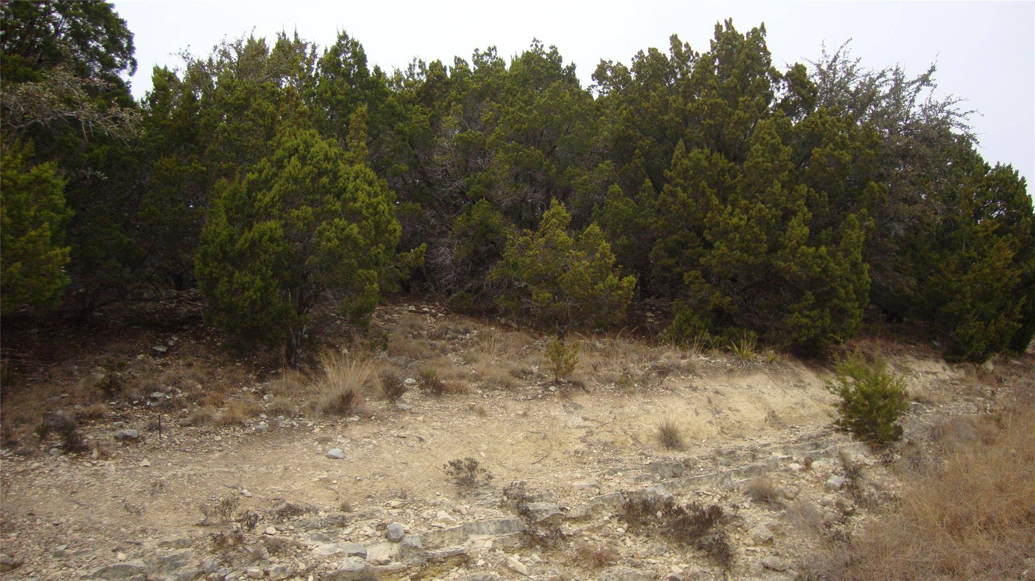 7700 Bar-K Ranch RD, Lago Vista, TX 78645