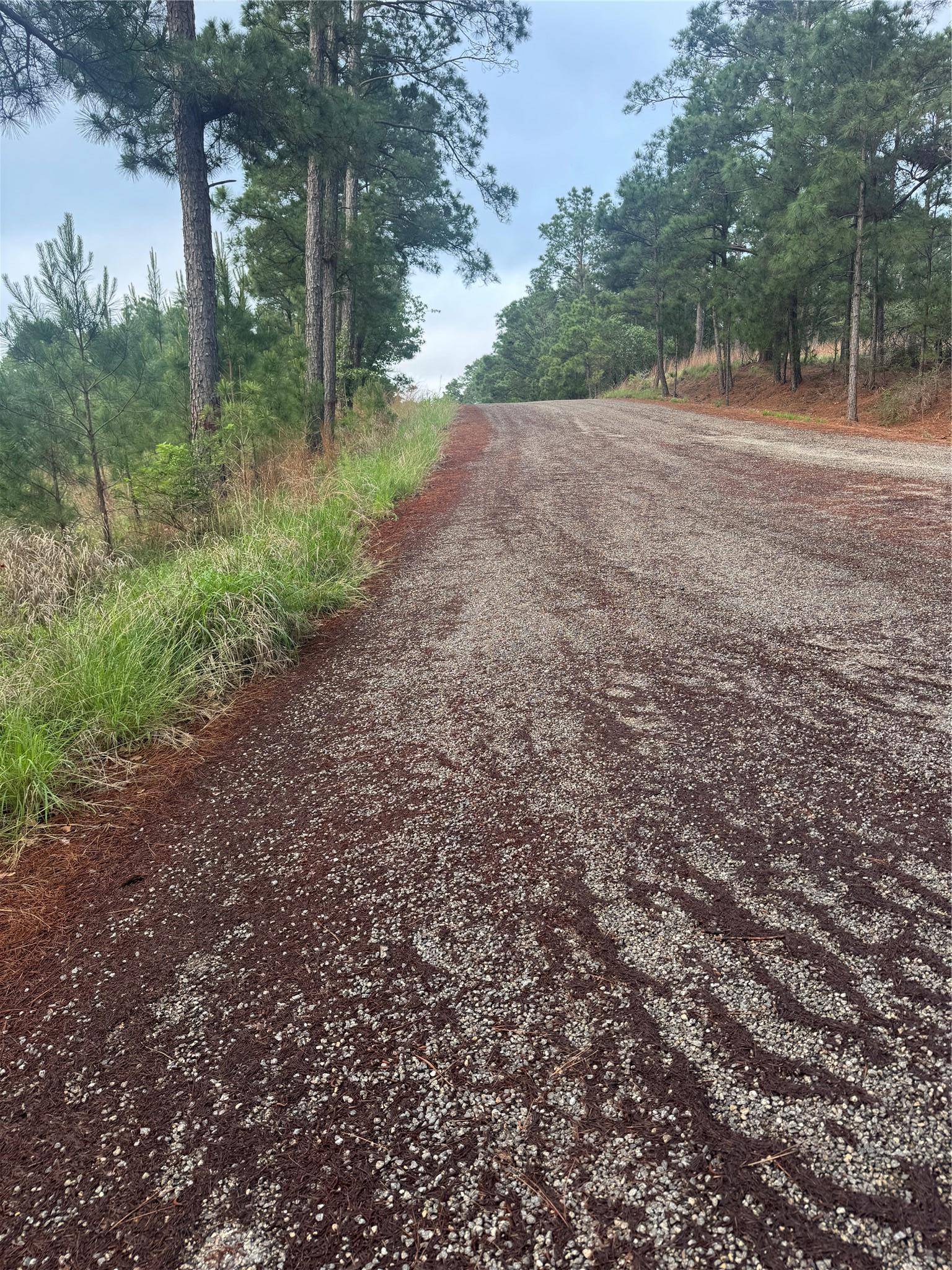 Lot 1490 Haleakala, Bastrop, TX 78602