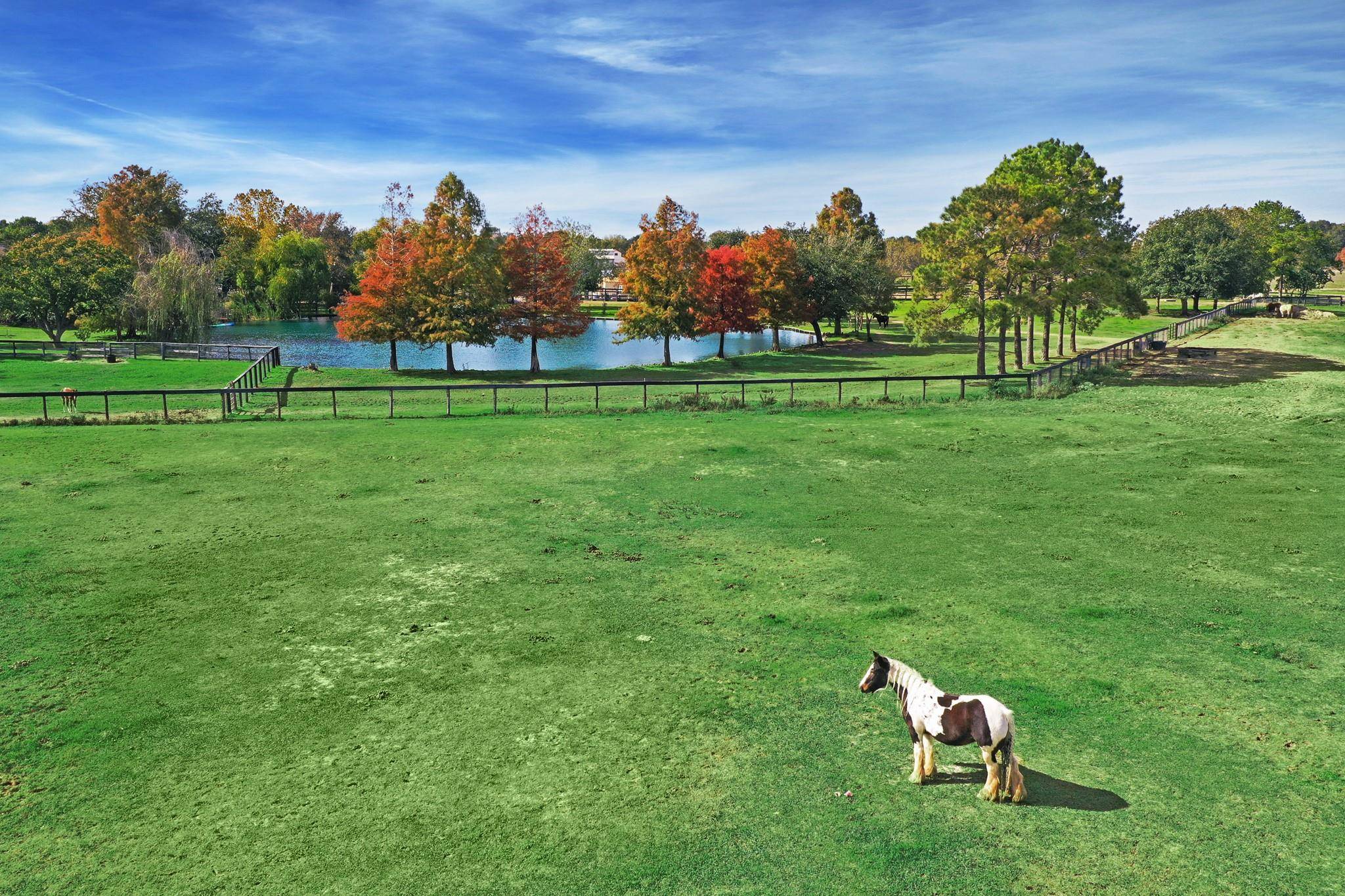1834 Fm 1463 RD, Katy, TX 77494