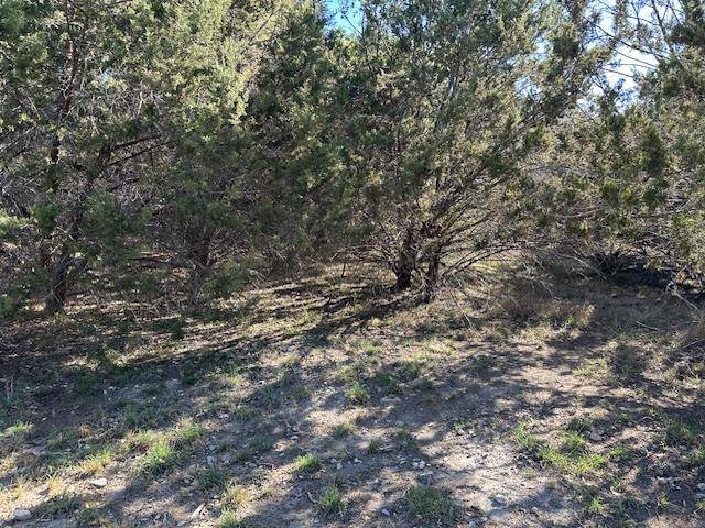 20607 High DR, Lago Vista, TX 78645