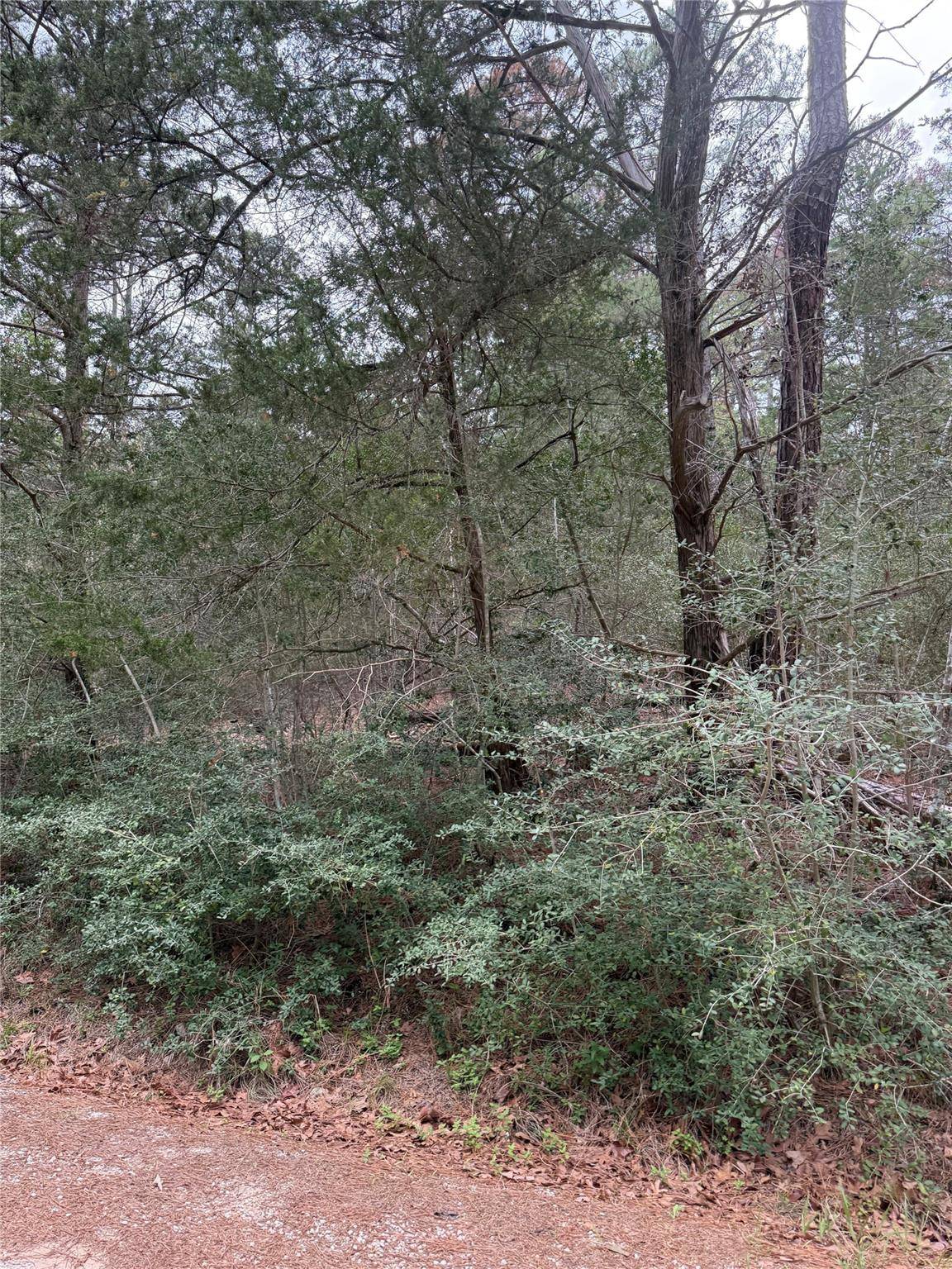 Lot 1428 Keeau CT, Bastrop, TX 78602