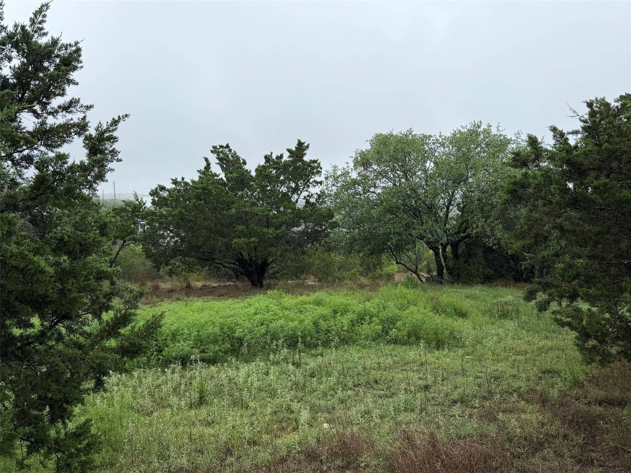 17408 Lake Wood CIR, Dripping Springs, TX 78620