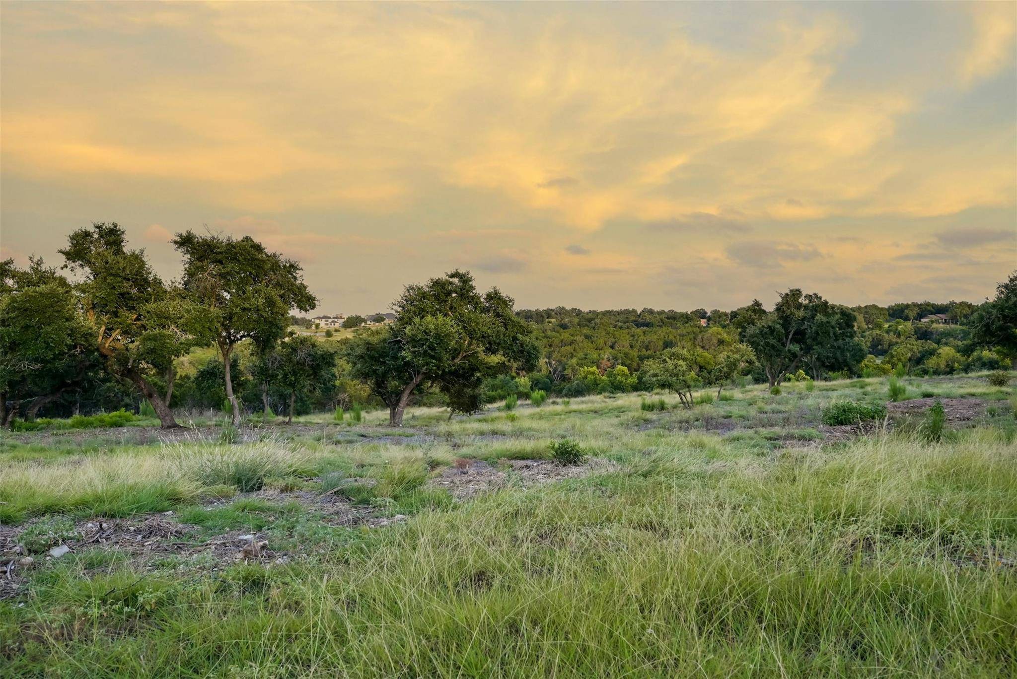20095 Westlake PKWY #Lot #4, Georgetown, TX 78628
