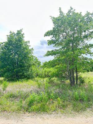138 Wild Bird LOOP, Smithville, TX 78957