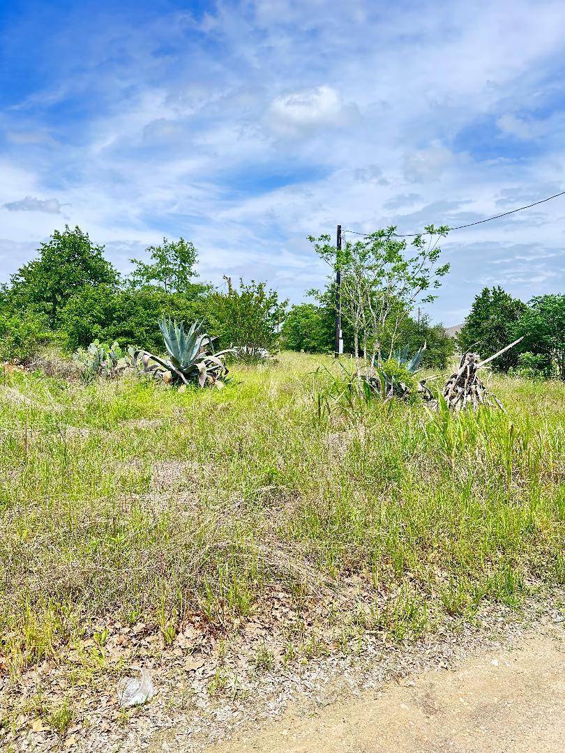 138 Wild Bird LOOP, Smithville, TX 78957