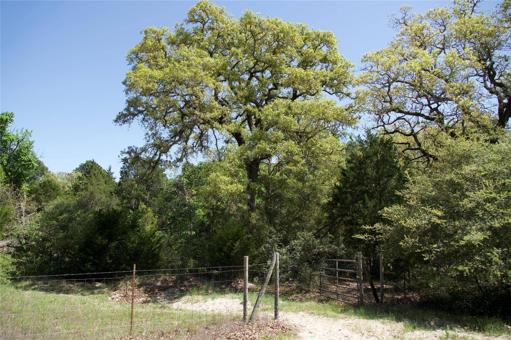 1035 Old Sayers RD, Elgin, TX 78621