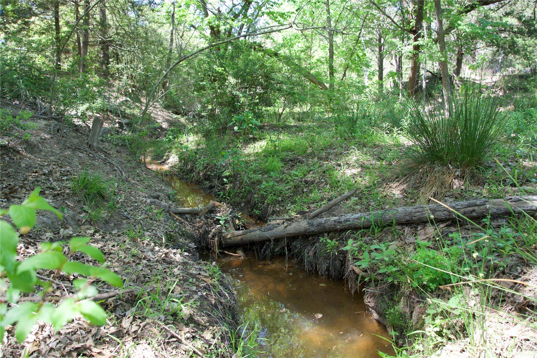 1035 Old Sayers RD, Elgin, TX 78621
