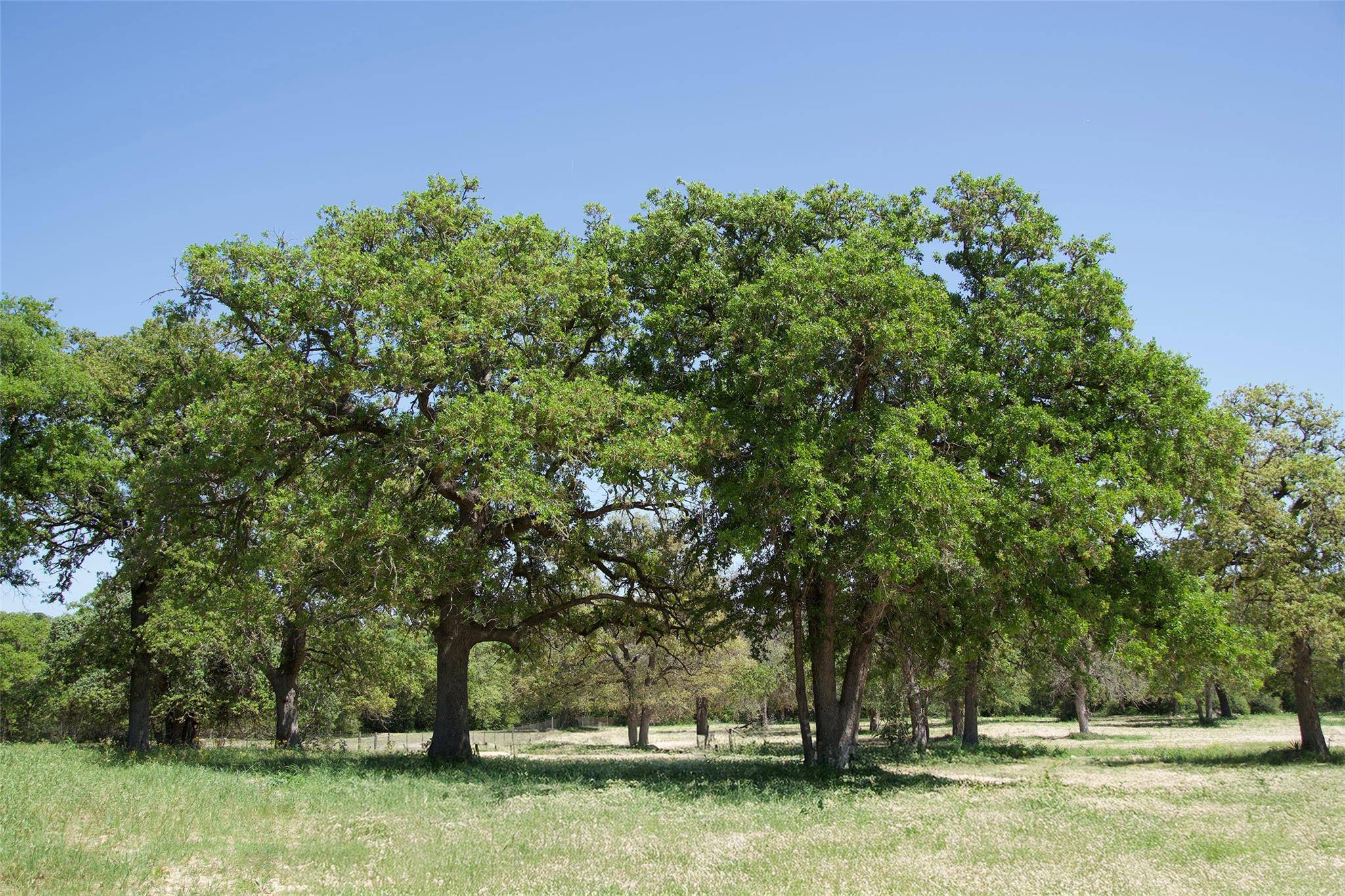 1035 Old Sayers RD, Elgin, TX 78621