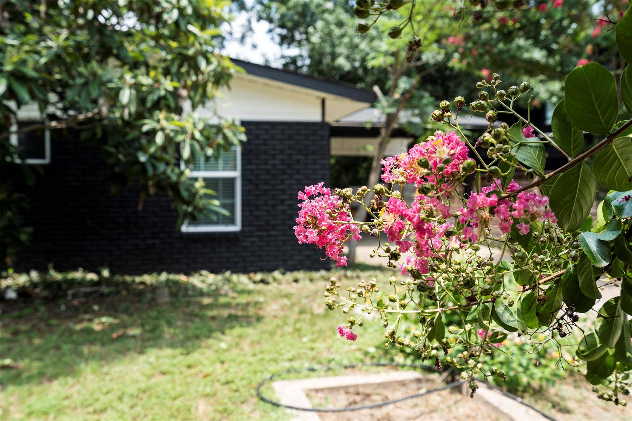 3002 Brinwood Ave, Austin, TX 78704
