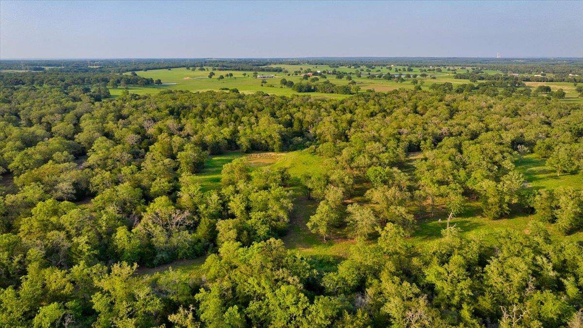2095 County Road 442, Thrall, TX 76578