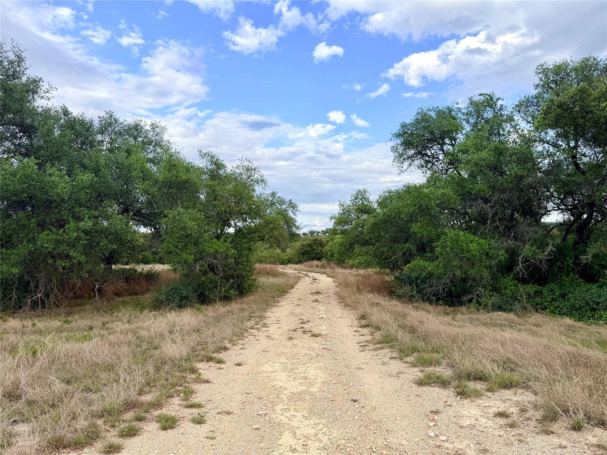 768 N Walnut Springs RD, Johnson City, TX 78636