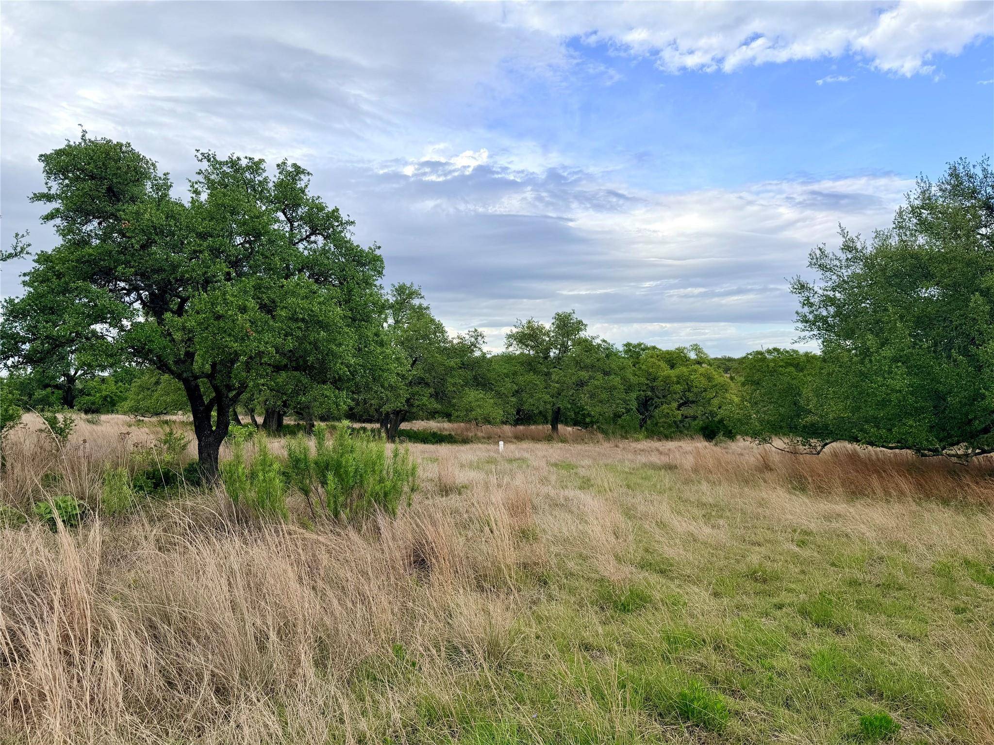 768 N Walnut Springs RD, Johnson City, TX 78636