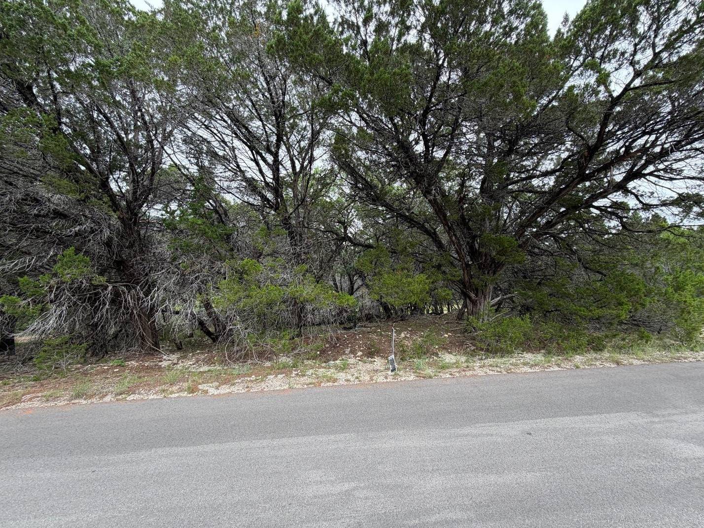 20014 Continental DR, Lago Vista, TX 78645