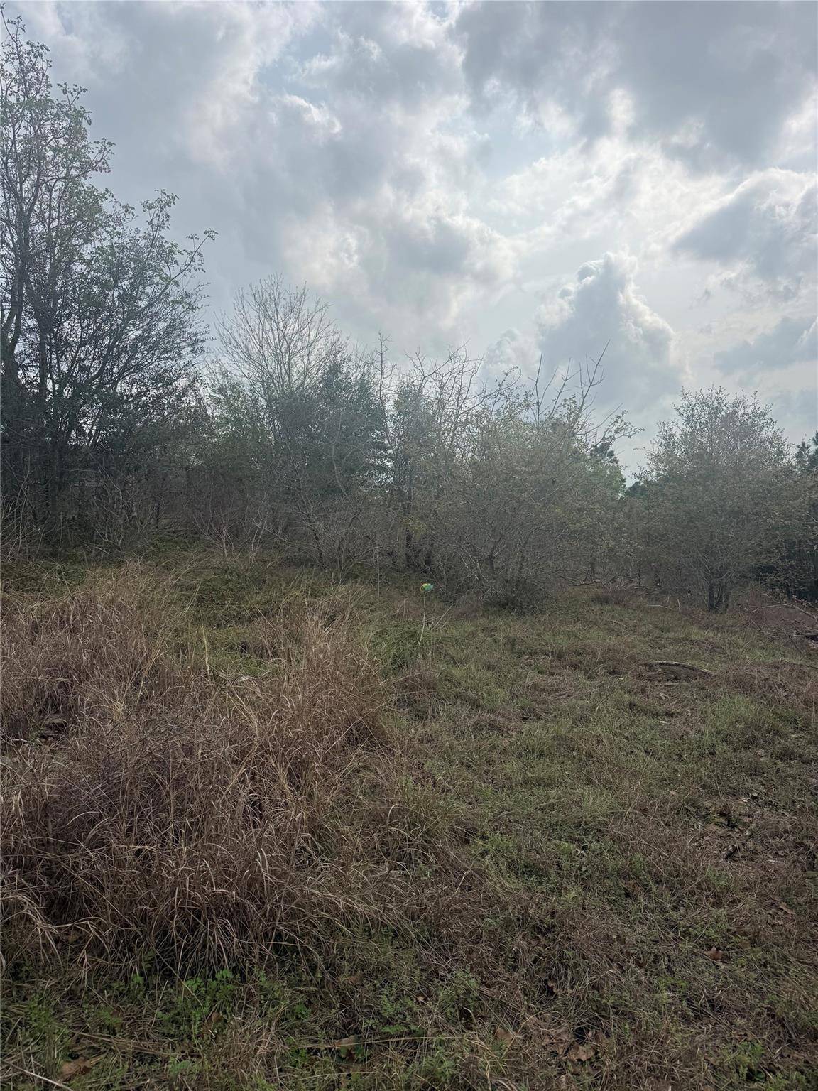 TBD Mauna Kea LN, Bastrop, TX 78602