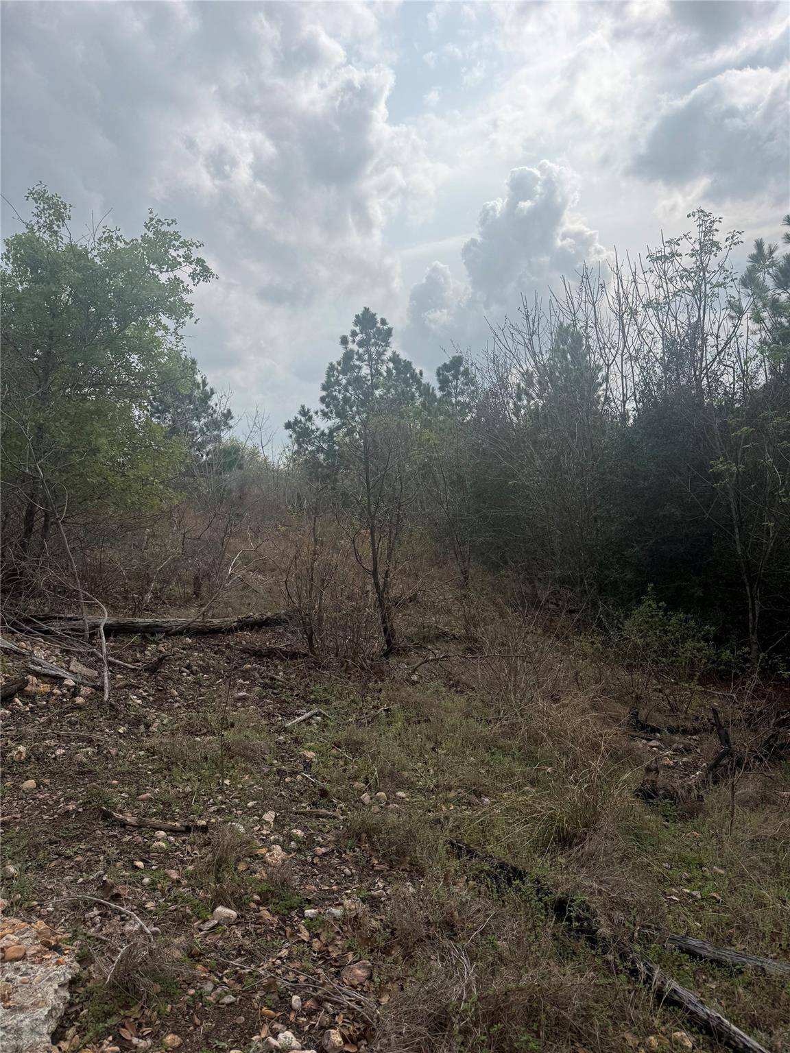 TBD Mauna Kea LN, Bastrop, TX 78602