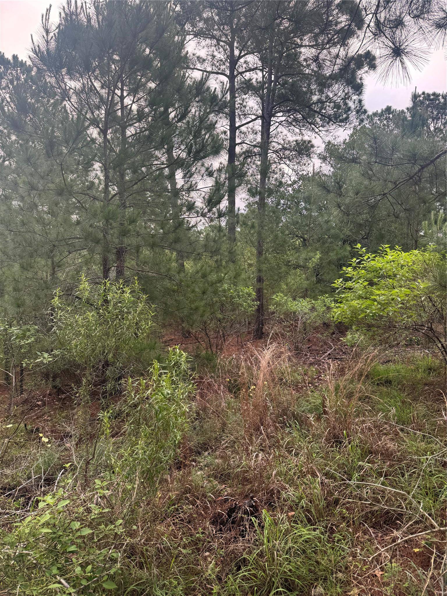 Lot 1491 Haleakala, Bastrop, TX 78602