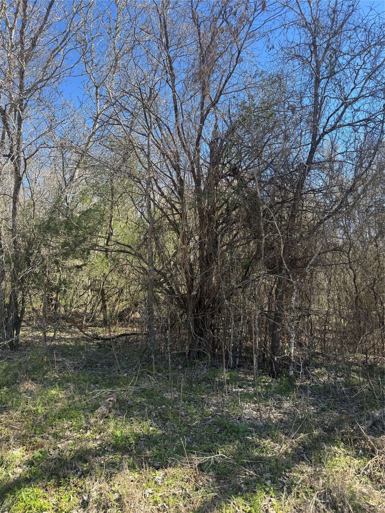 Lot 321 Kolekole LN, Bastrop, TX 78602