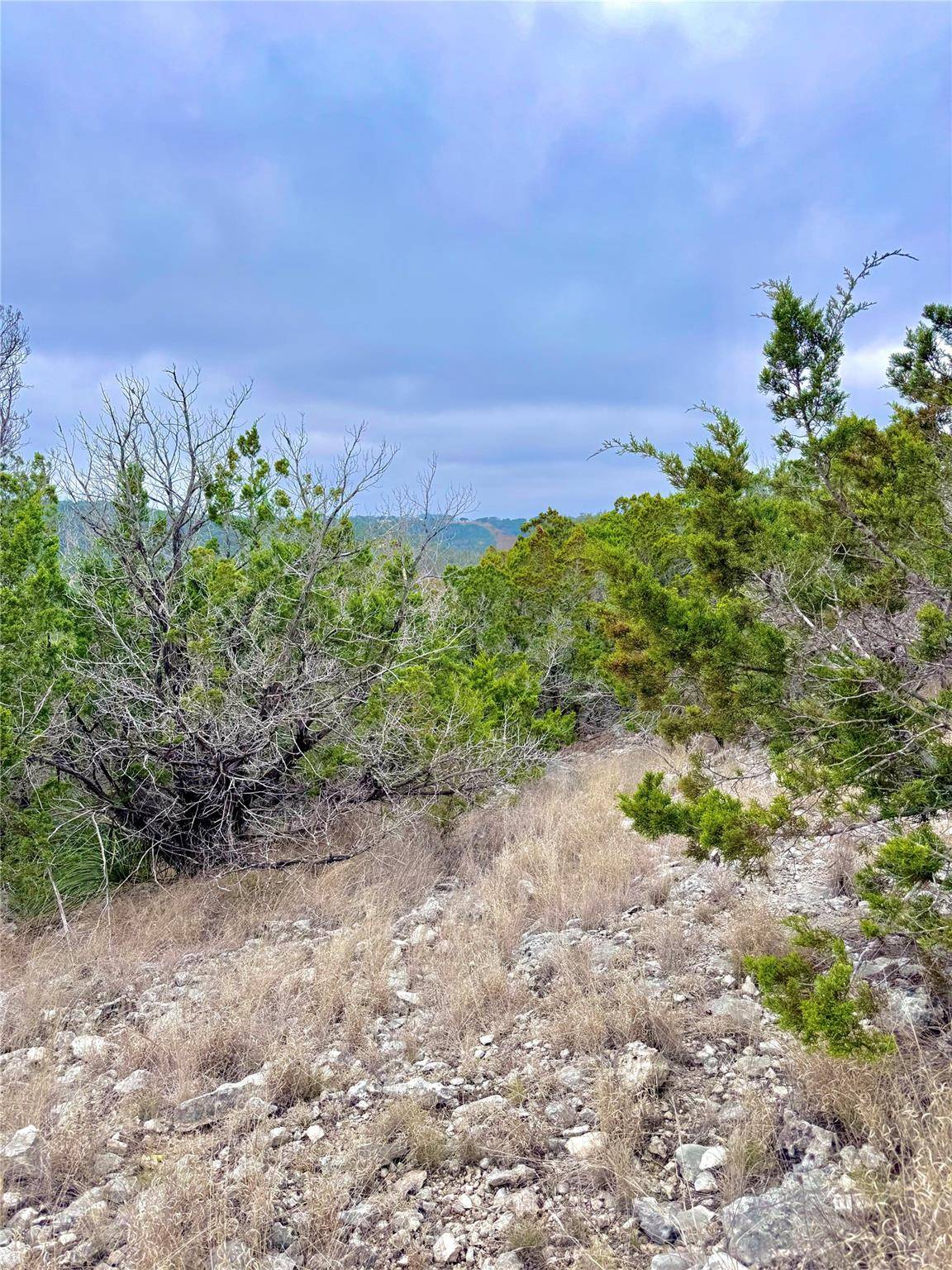 424 Armadillo Trail DR E, Center Point, TX 78013