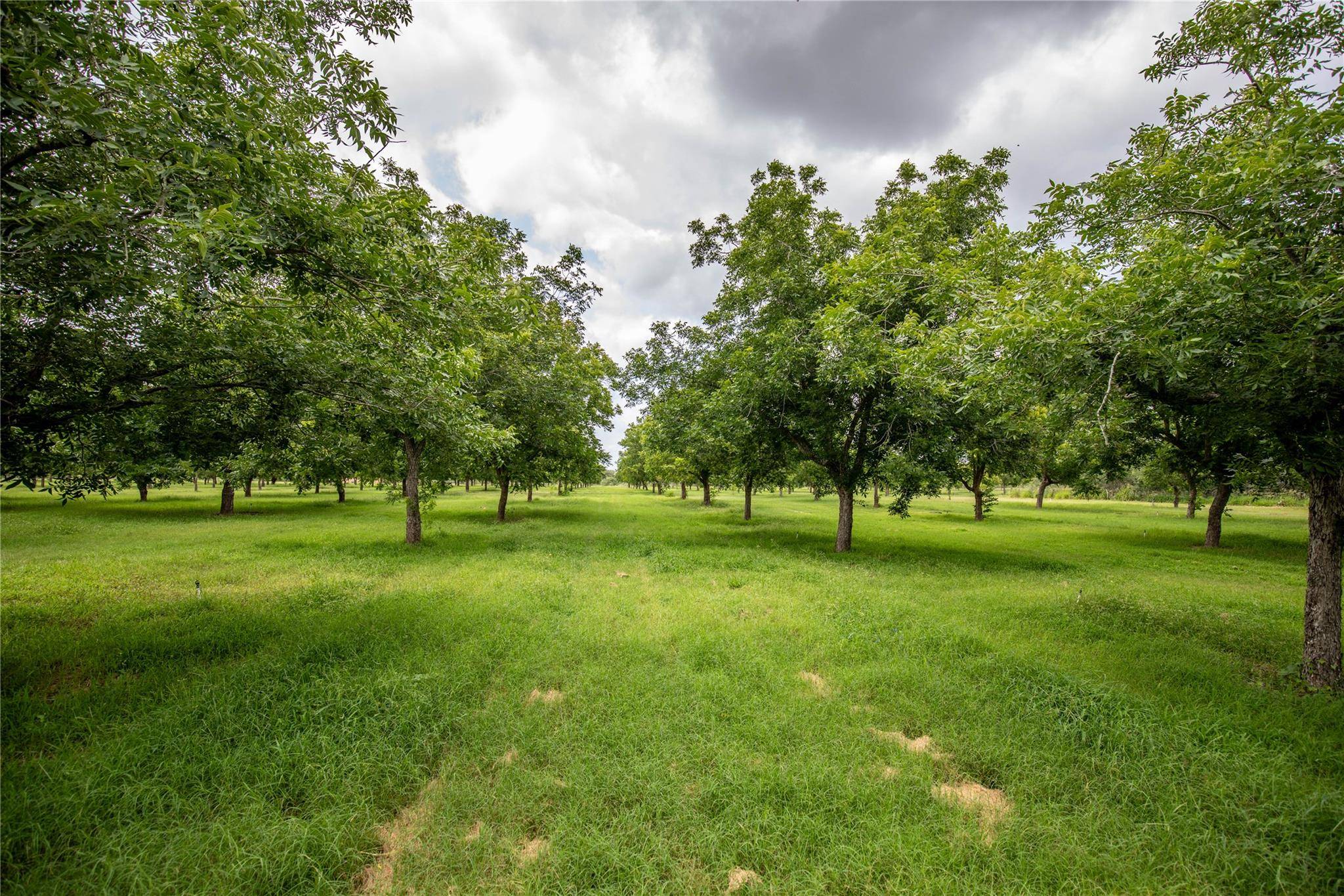 2432 County Road 402 B, Falfurrias, TX 78355