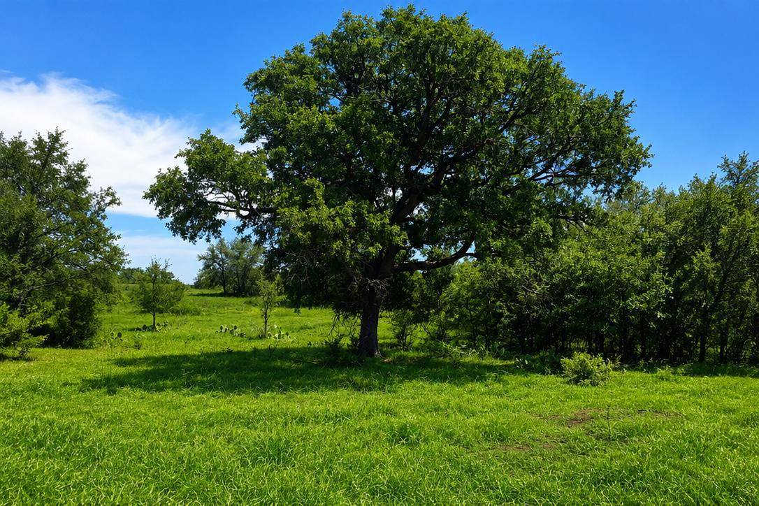 TBD E FM 580, Lampasas, TX 76550