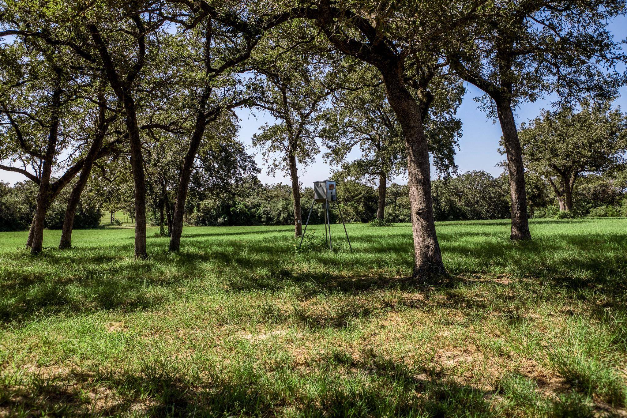 3336 County Road 326, Lexington, TX 78947