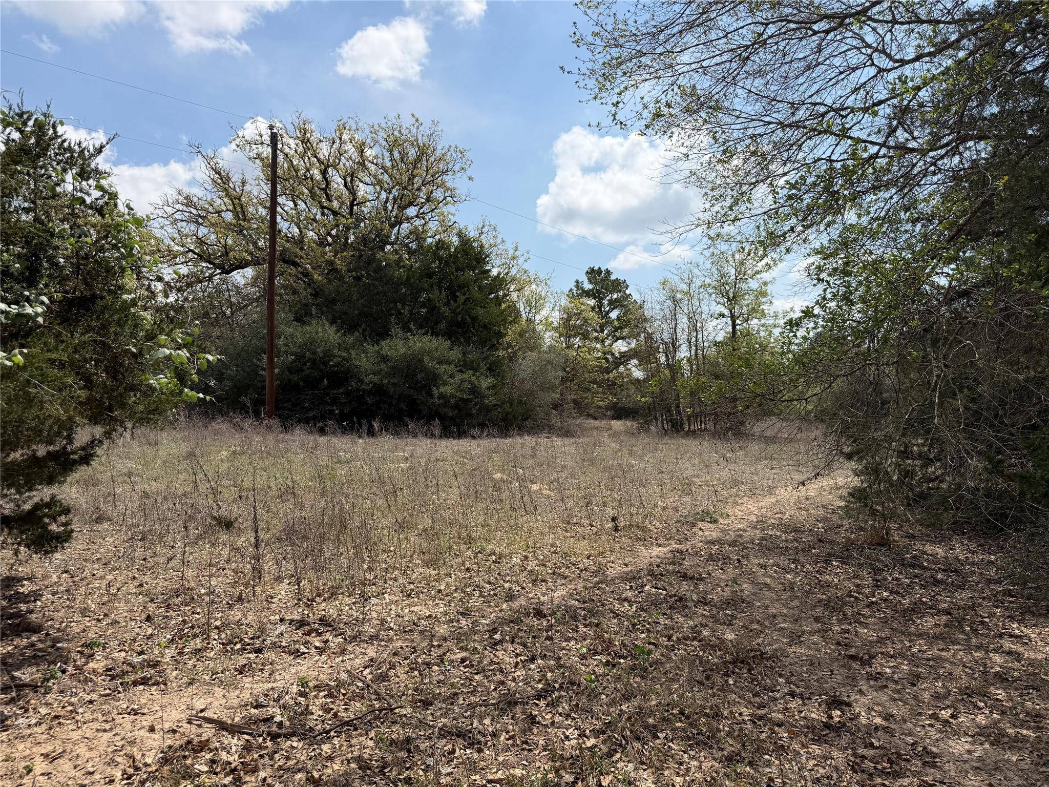 118 Edmonson Ranch RD, Mcdade, TX 78650