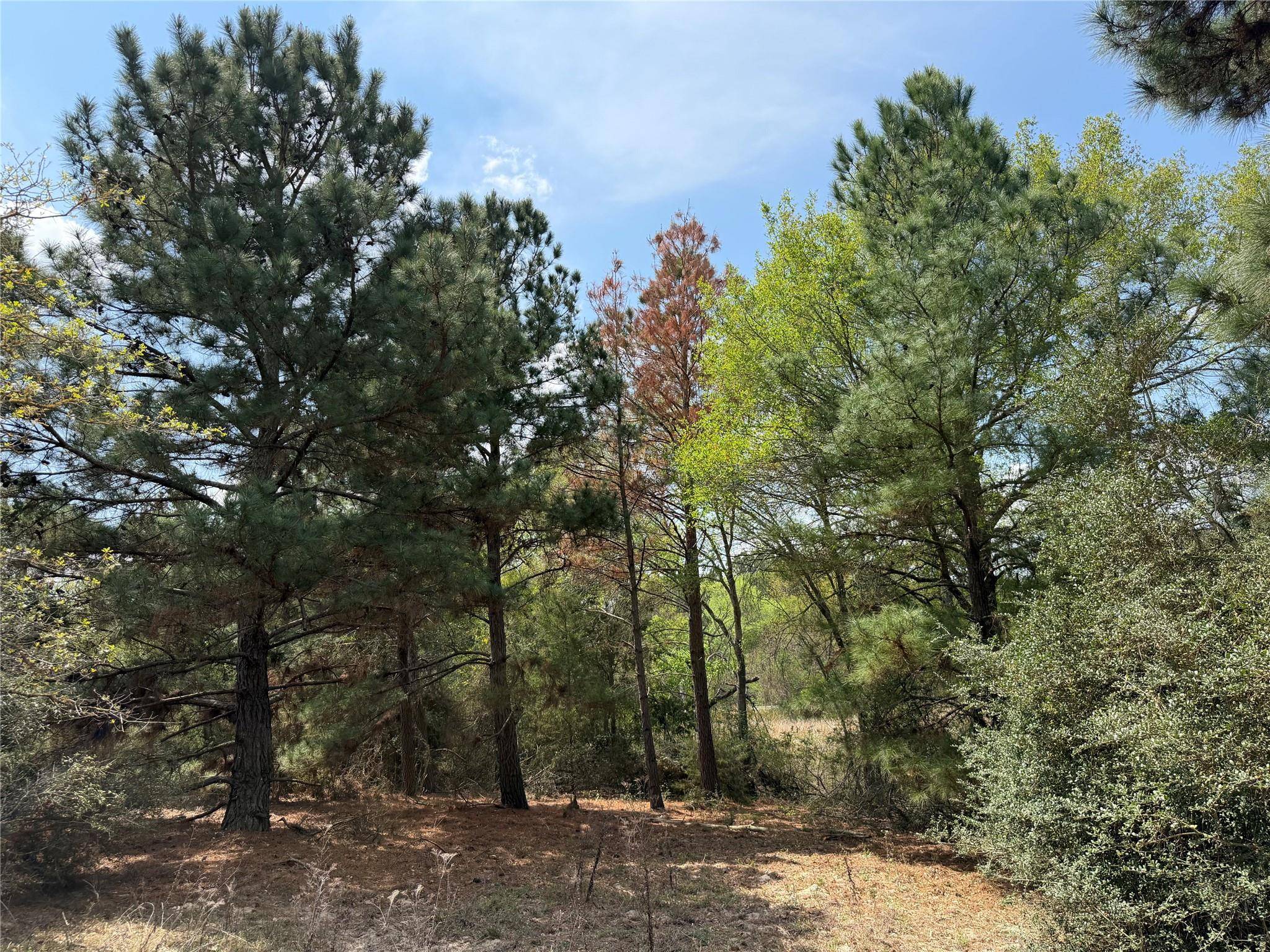 118 Edmonson Ranch RD, Mcdade, TX 78650