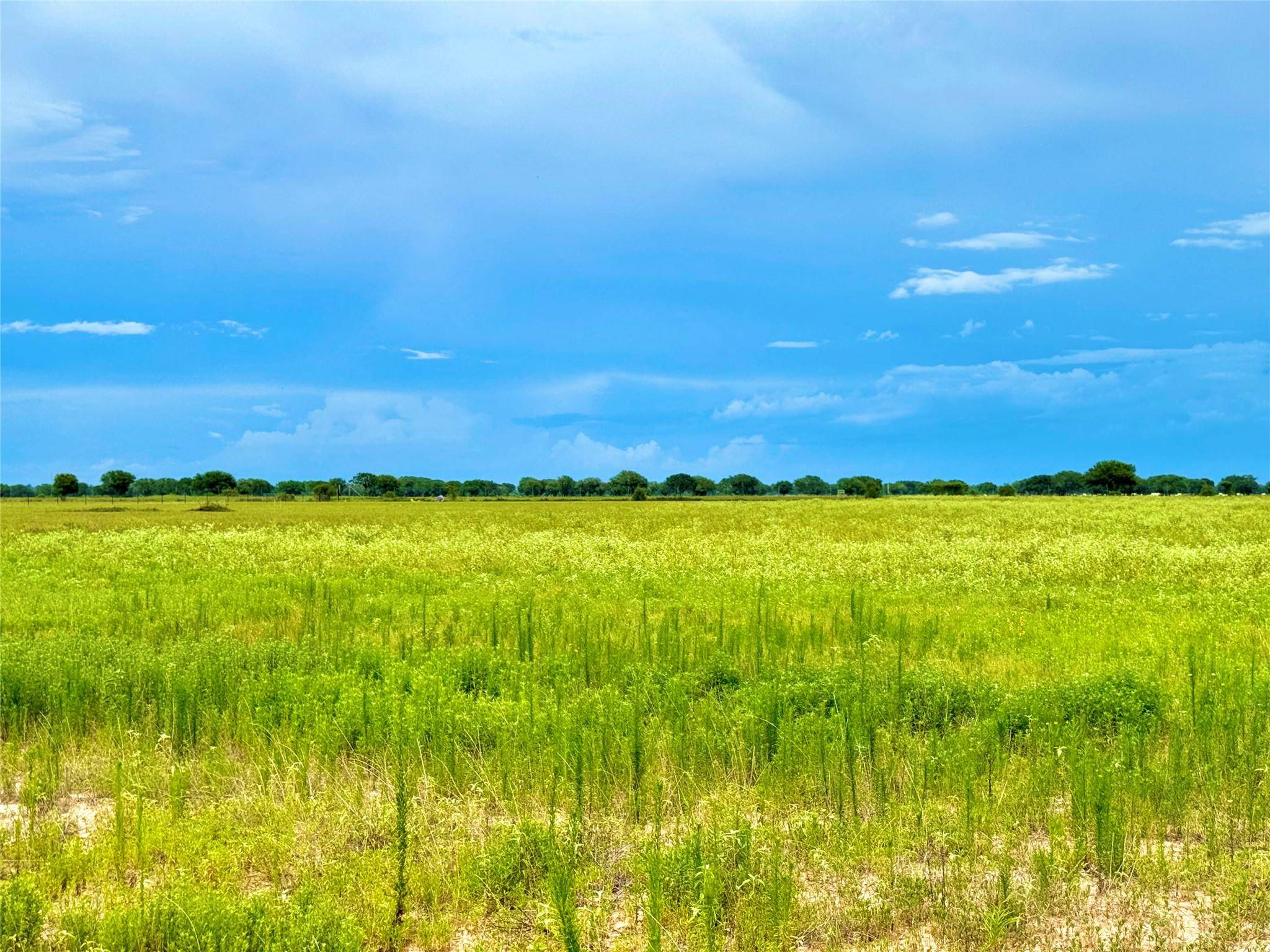 TBD Tract 105 Pin Tail LN, Rock Island, TX 78934