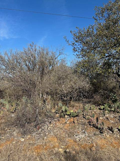 0 TBD Cedar DR, Granite Shoals, TX 78654