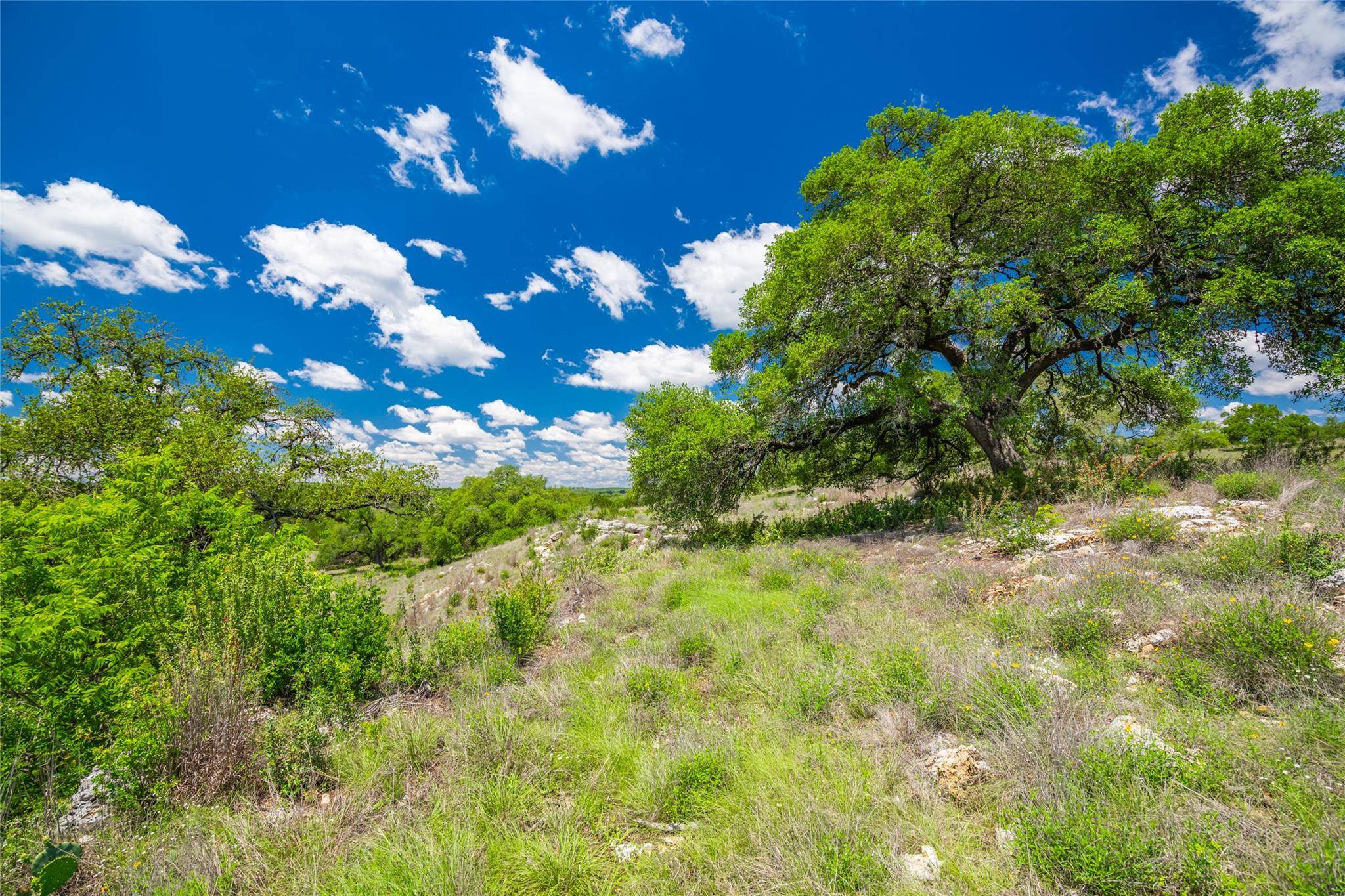 262 Cuesta PASS, Driftwood, TX 78619