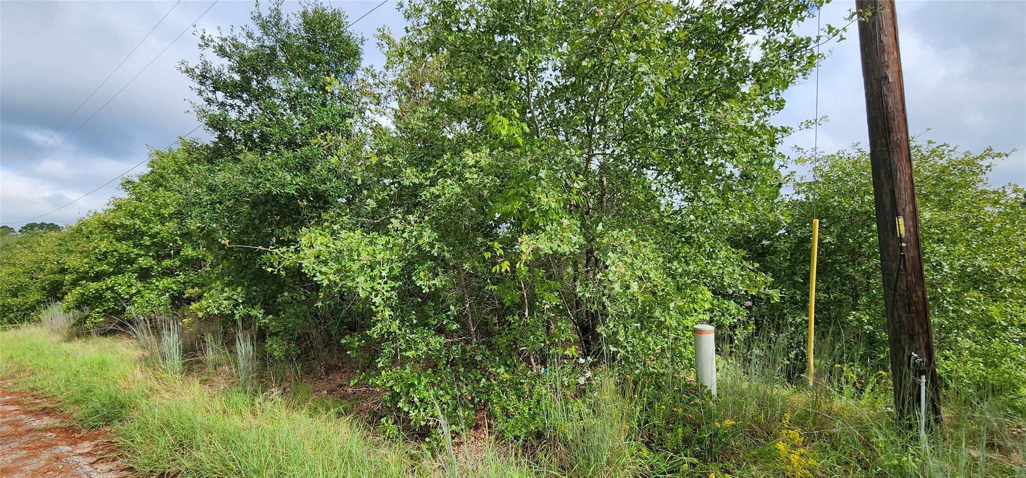 TBD Homonu (Lot 105) CT, Bastrop, TX 78602
