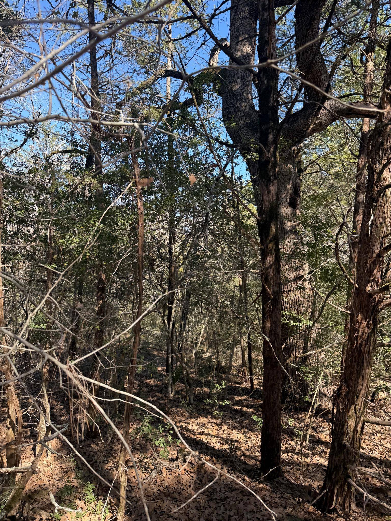 Lot 321 Keneka LN, Bastrop, TX 78602