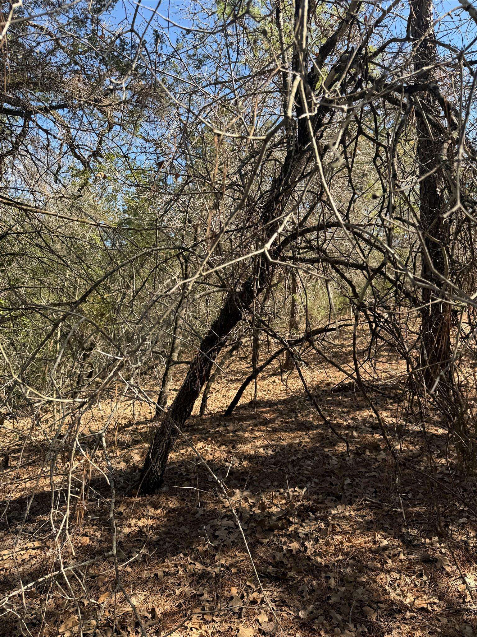Lot 321 Keneka LN, Bastrop, TX 78602