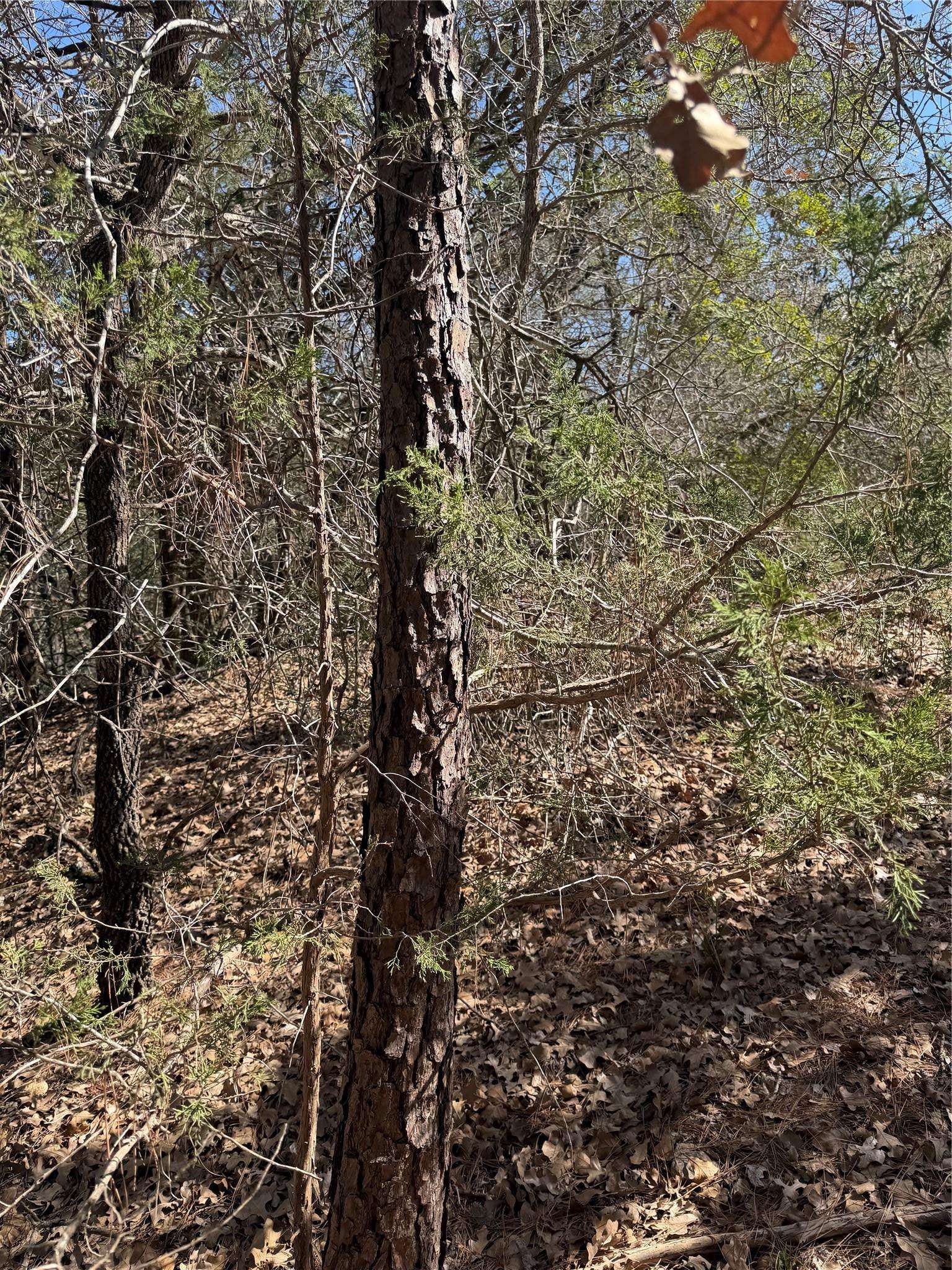 Lot 321 Keneka LN, Bastrop, TX 78602