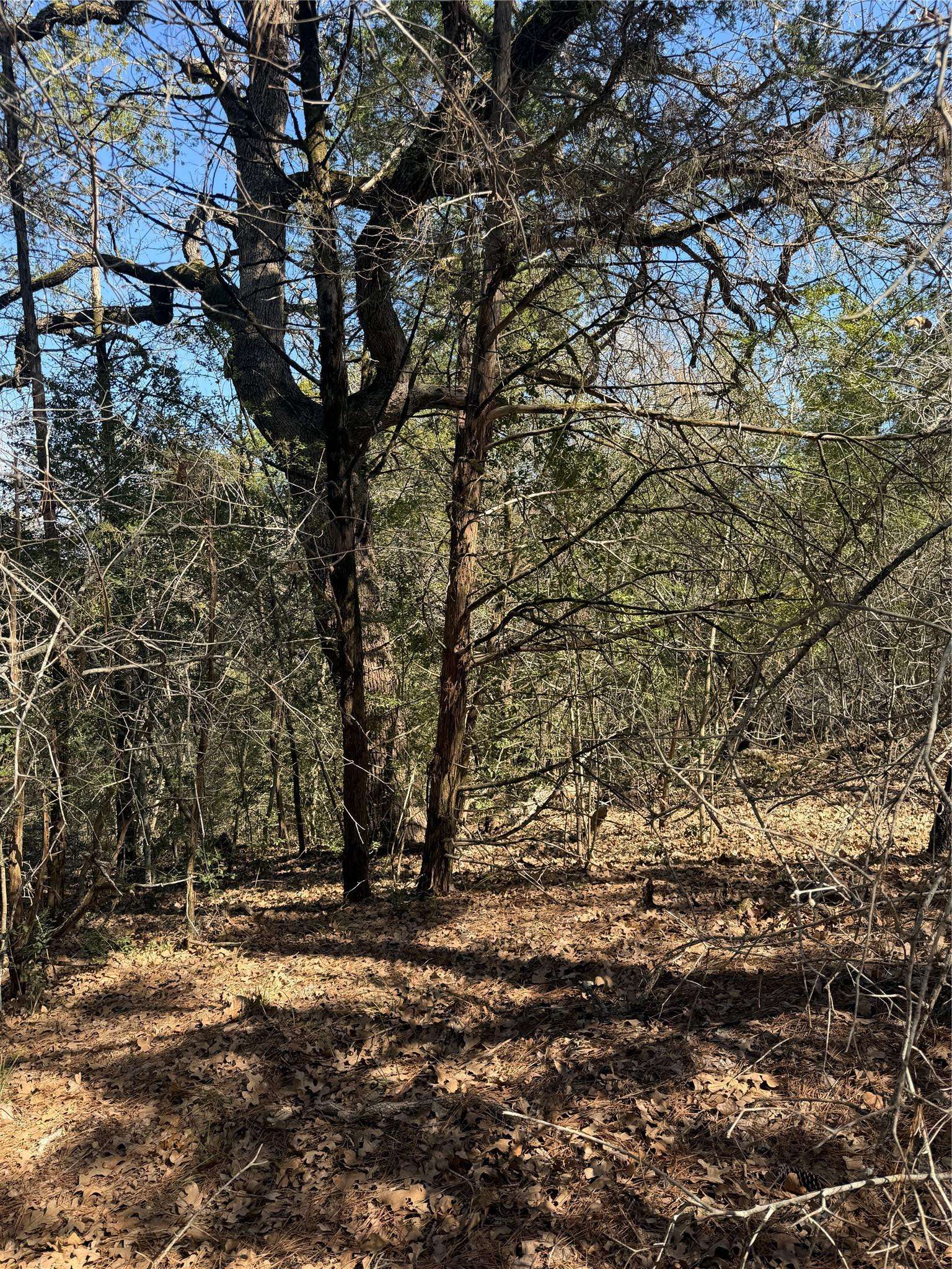 Lot 321 Keneka LN, Bastrop, TX 78602