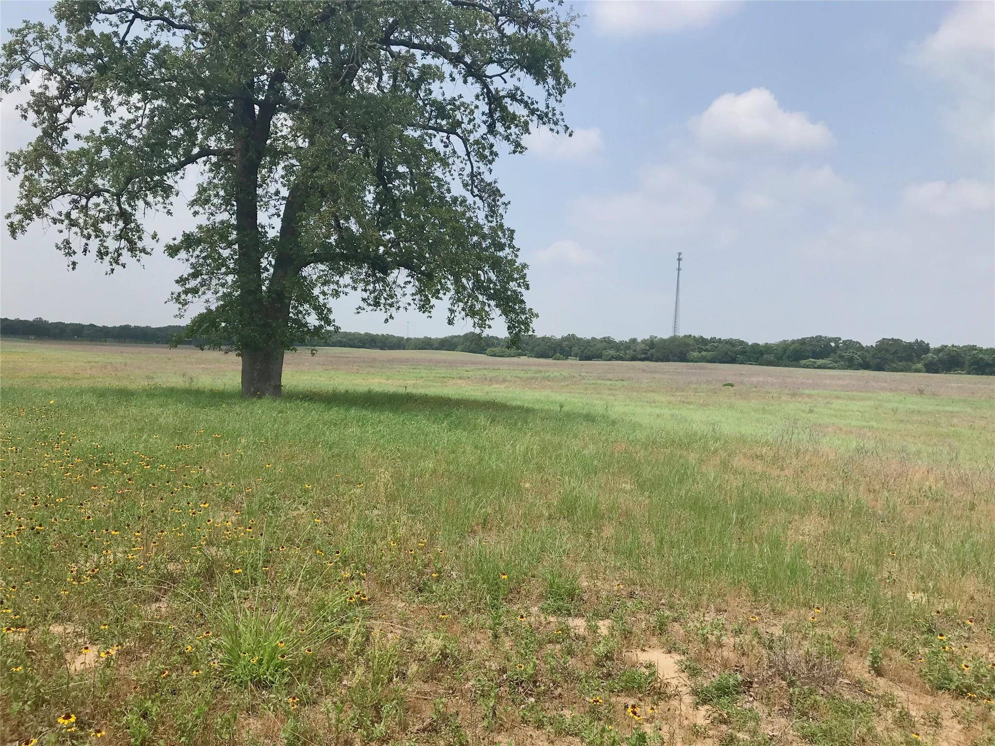 1672 Sayers RD #Tract 1, Bastrop, TX 78602