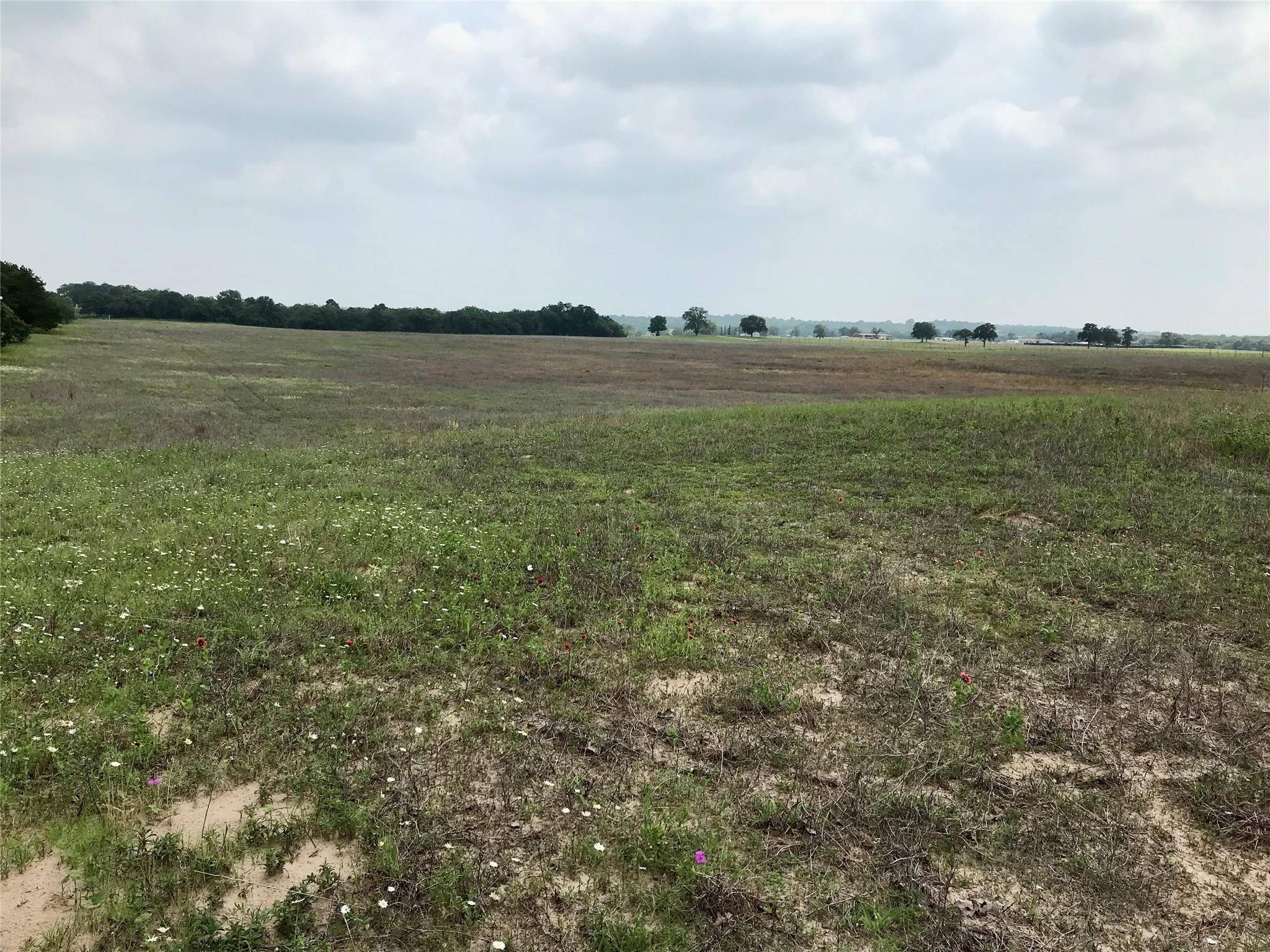 1672 Sayers RD #Tract 1, Bastrop, TX 78602
