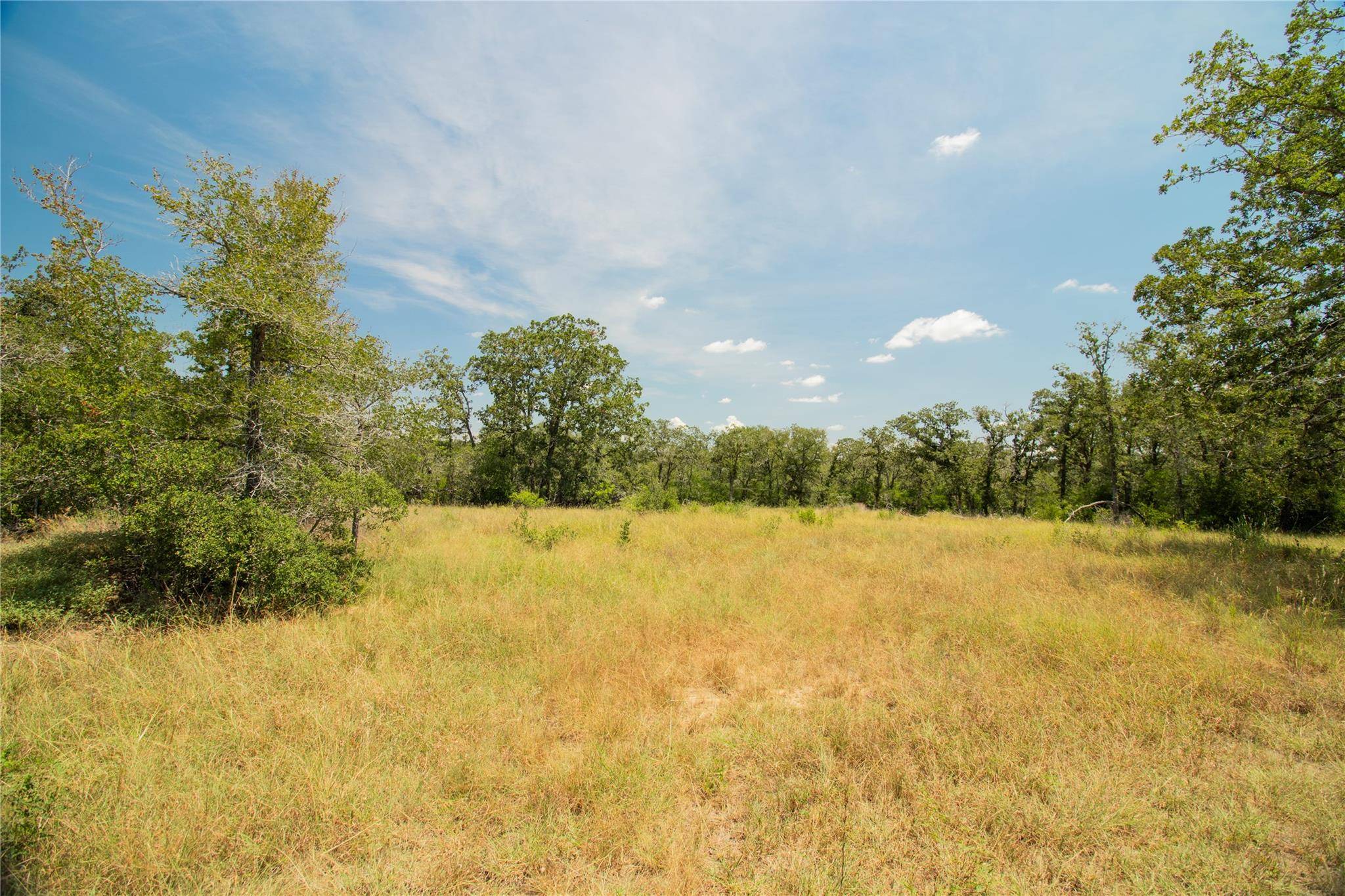 2564 Bluestem Crest LN, Kingsbury, TX 78638