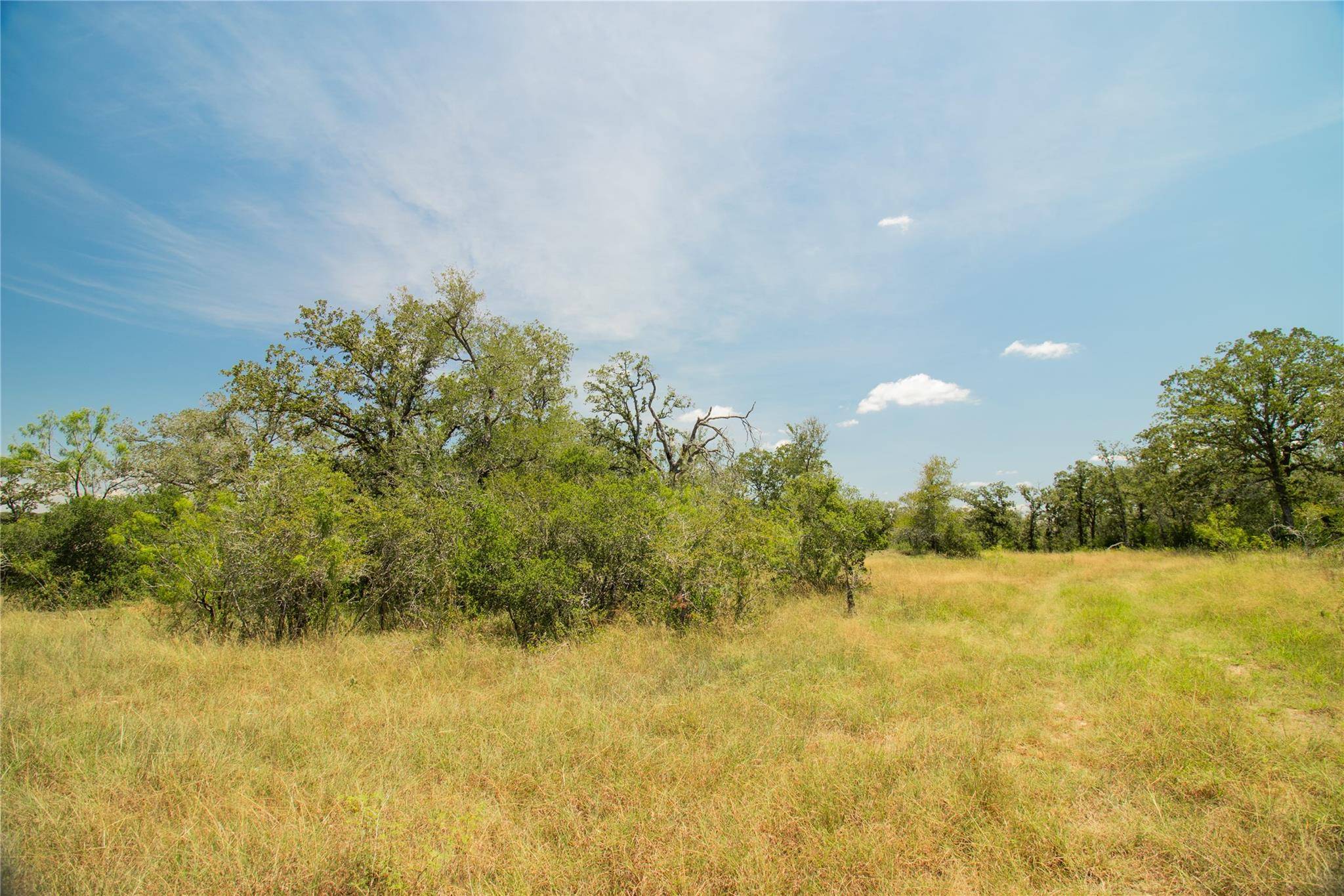 2564 Bluestem Crest LN, Kingsbury, TX 78638
