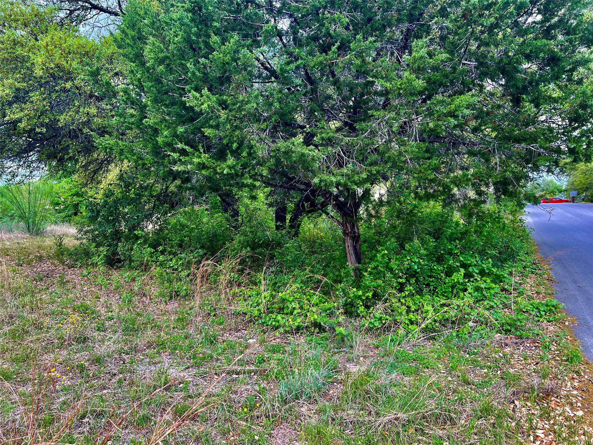 15209 CAVALIER CANYON DR, Lakeway, TX 78734