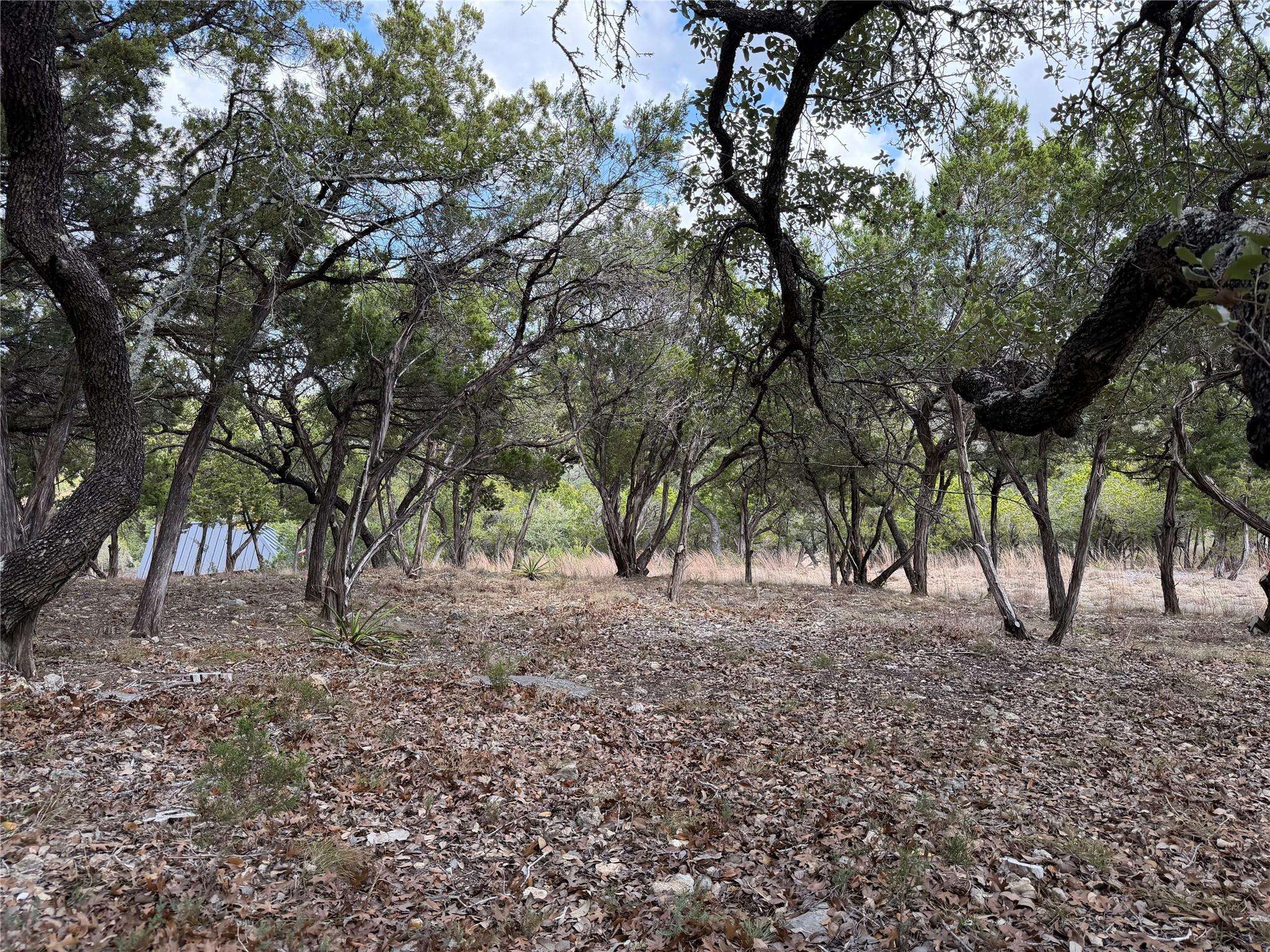 TBD Rancho Grande DR, Wimberley, TX 78676