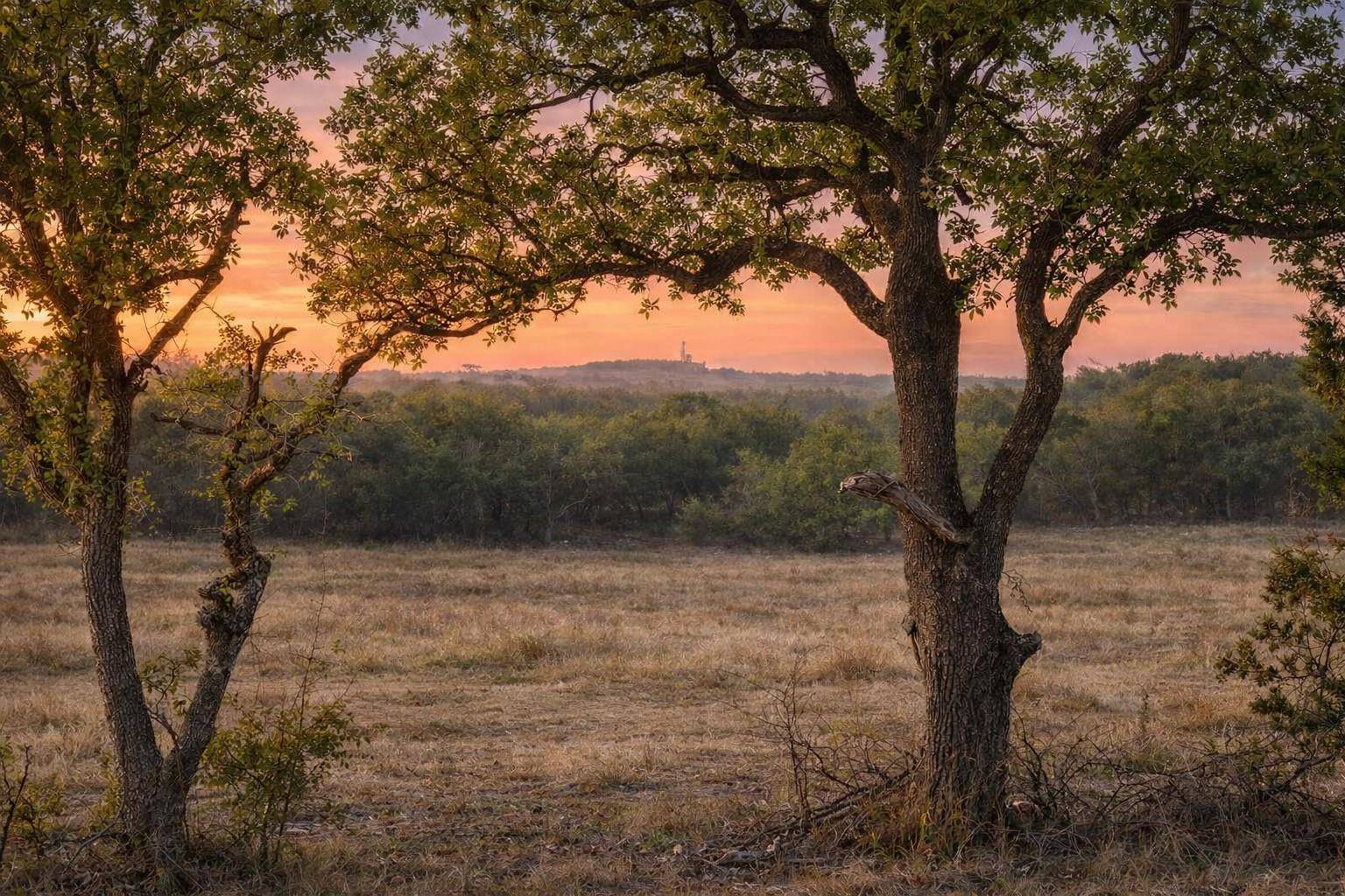 0 Limestone HOLW, Wimberley, TX 78676