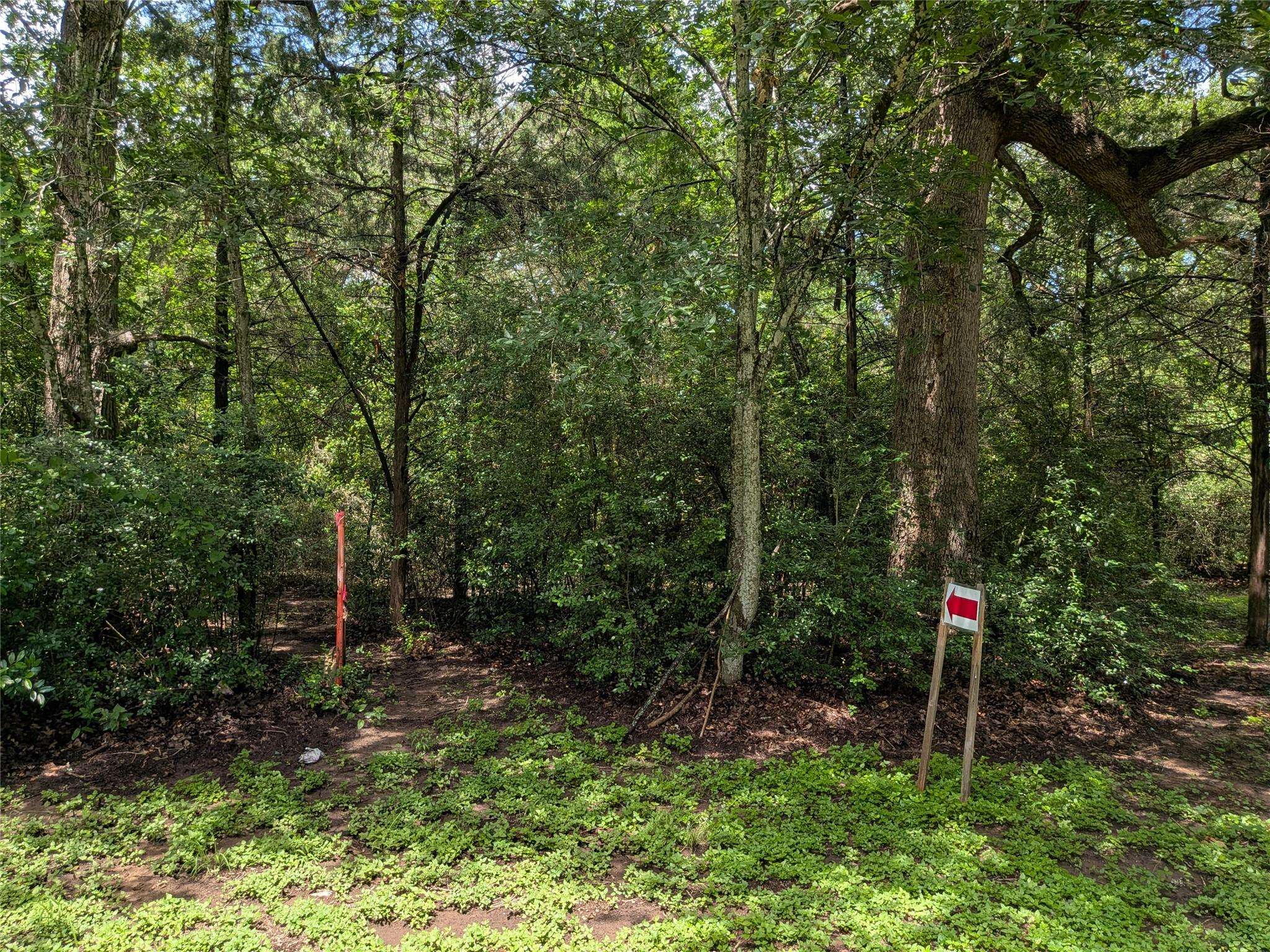 9278 N Highway 77 HWY, Lexington, TX 78947