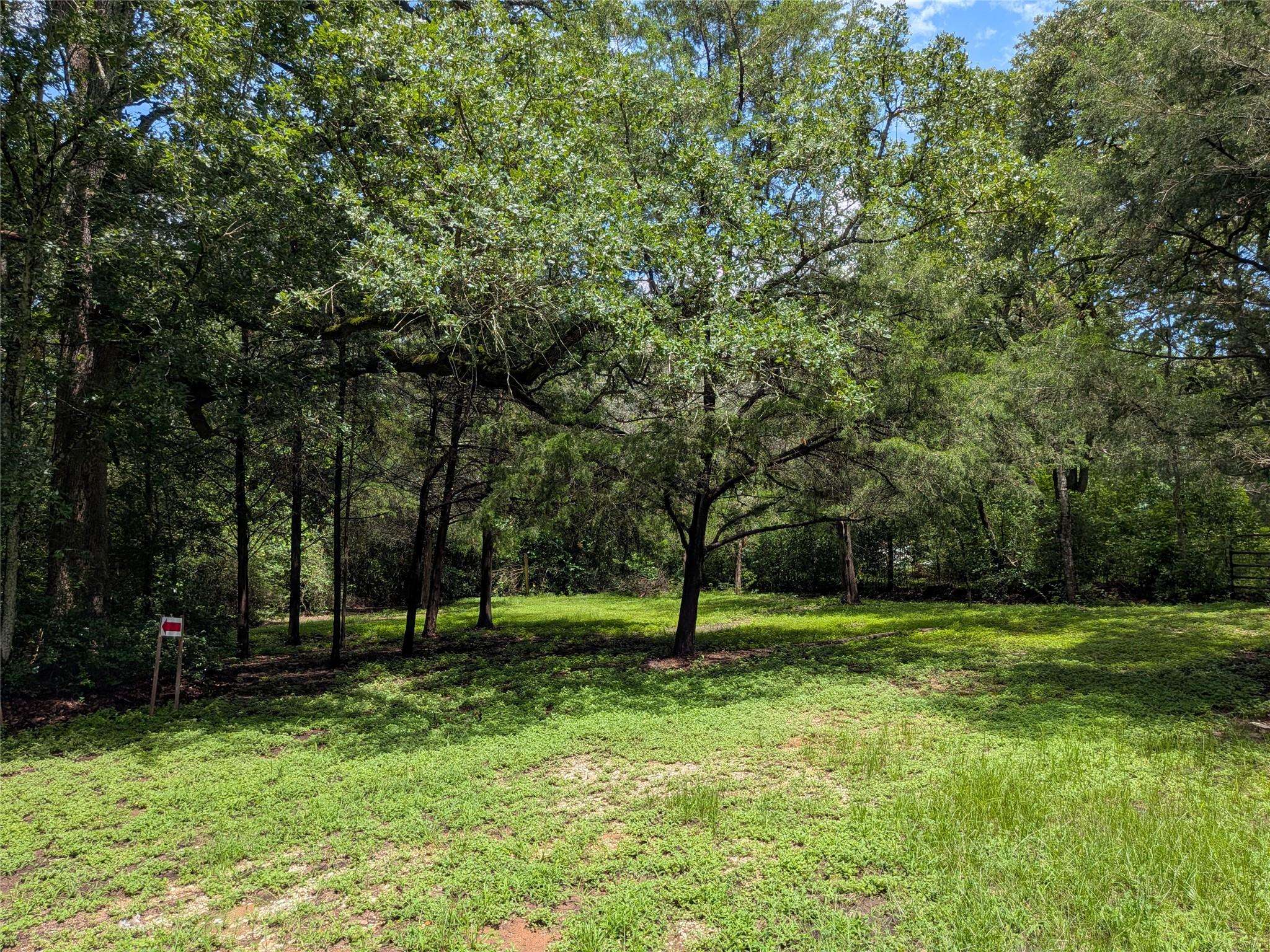 9278 N Highway 77 HWY, Lexington, TX 78947