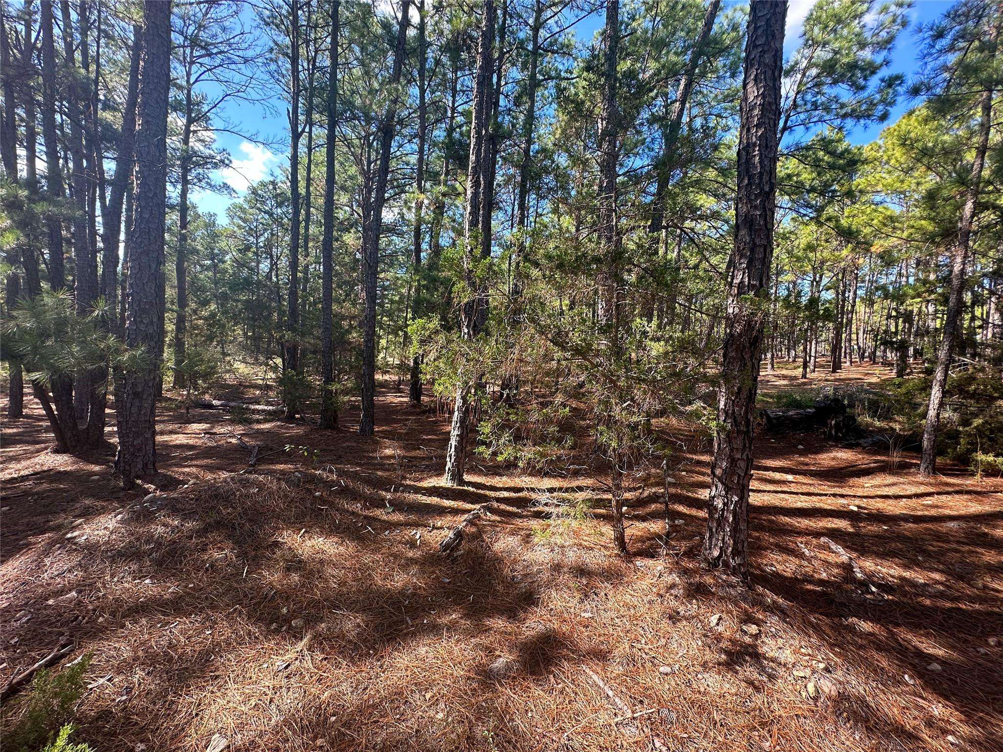 Lot 11 Hickory Ridge DR, Bastrop, TX 78602